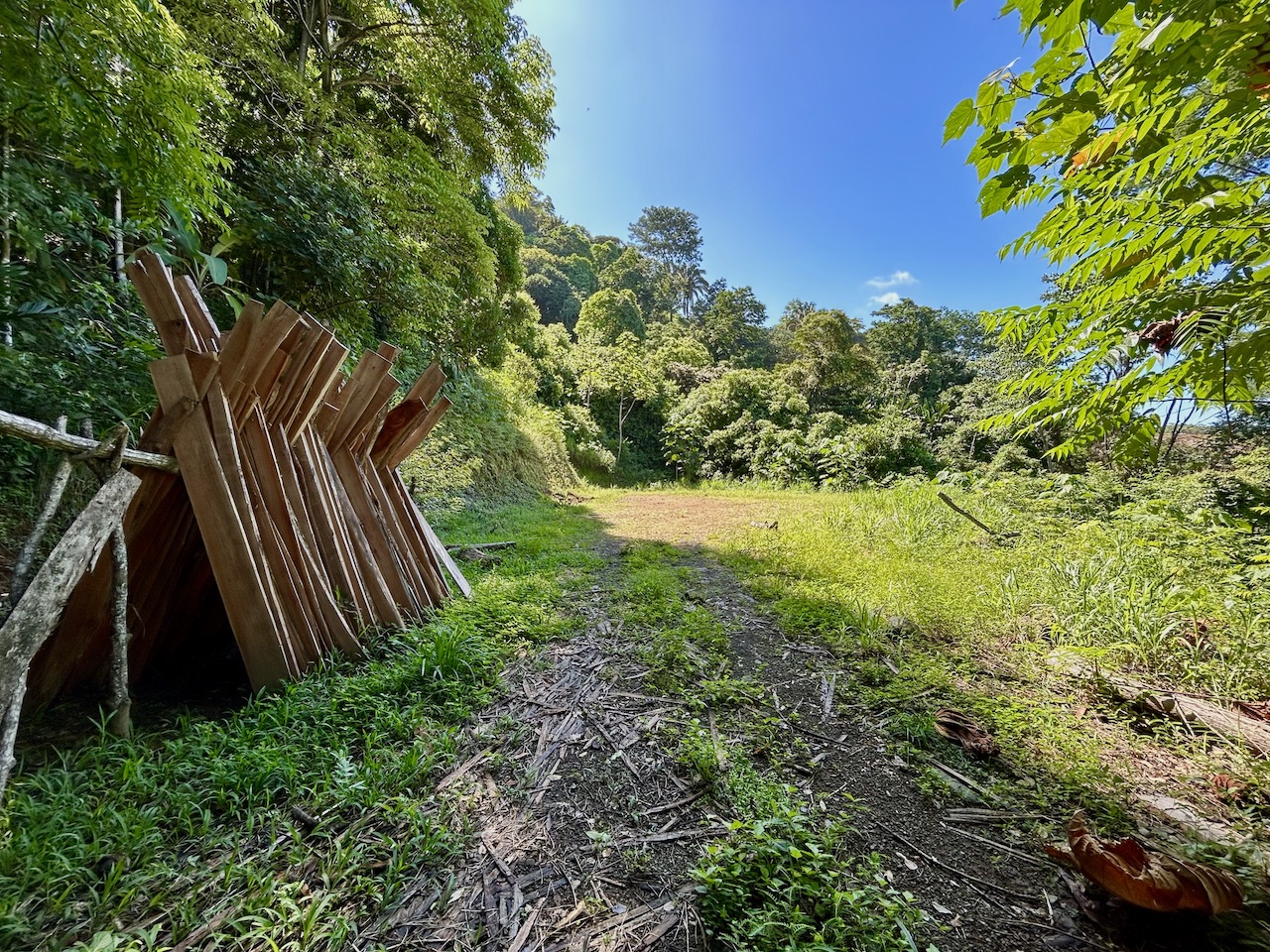 0 bed Land For Sale in Uvita, Puntarenas - thumb 17