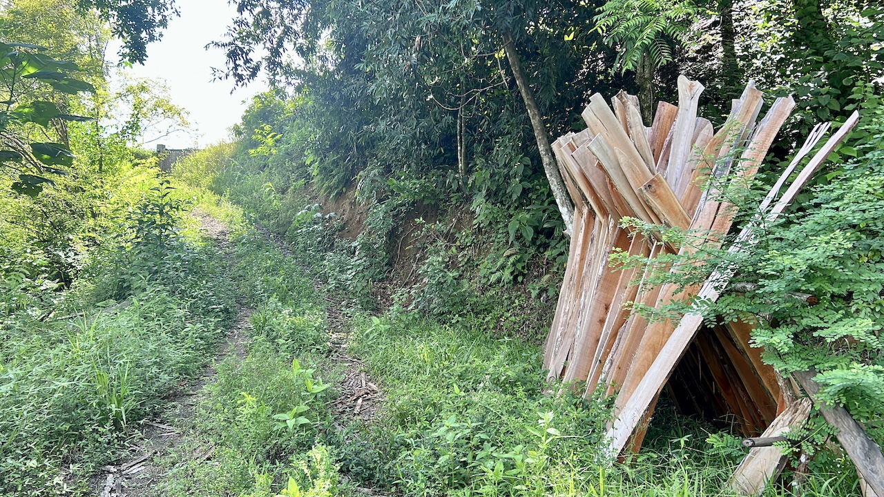 0 bed Land For Sale in Uvita, Puntarenas - thumb 25