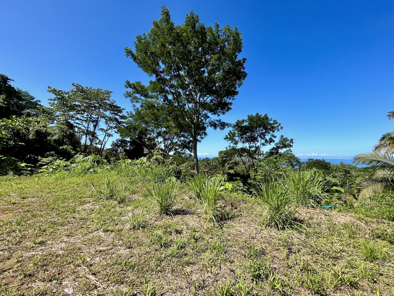 0 bed Land For Sale in Uvita, Puntarenas - thumb 7