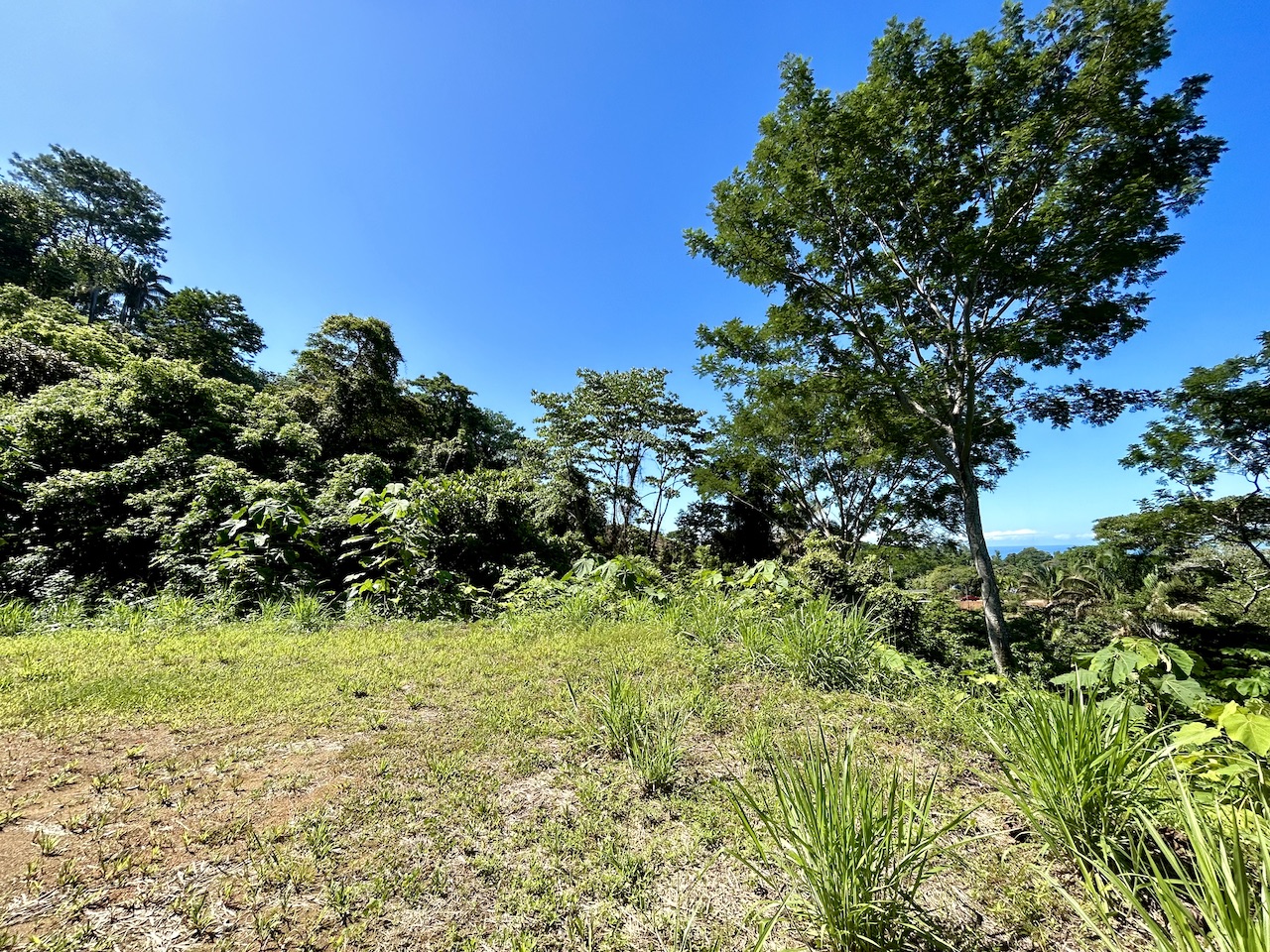 0 bed Land For Sale in Uvita, Puntarenas - thumb 18