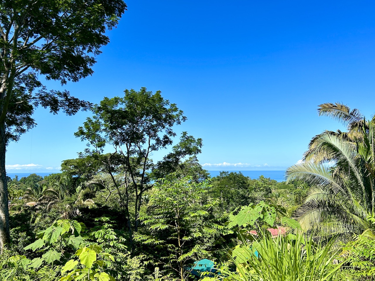 0 bed Land For Sale in Uvita, Puntarenas - thumb 8