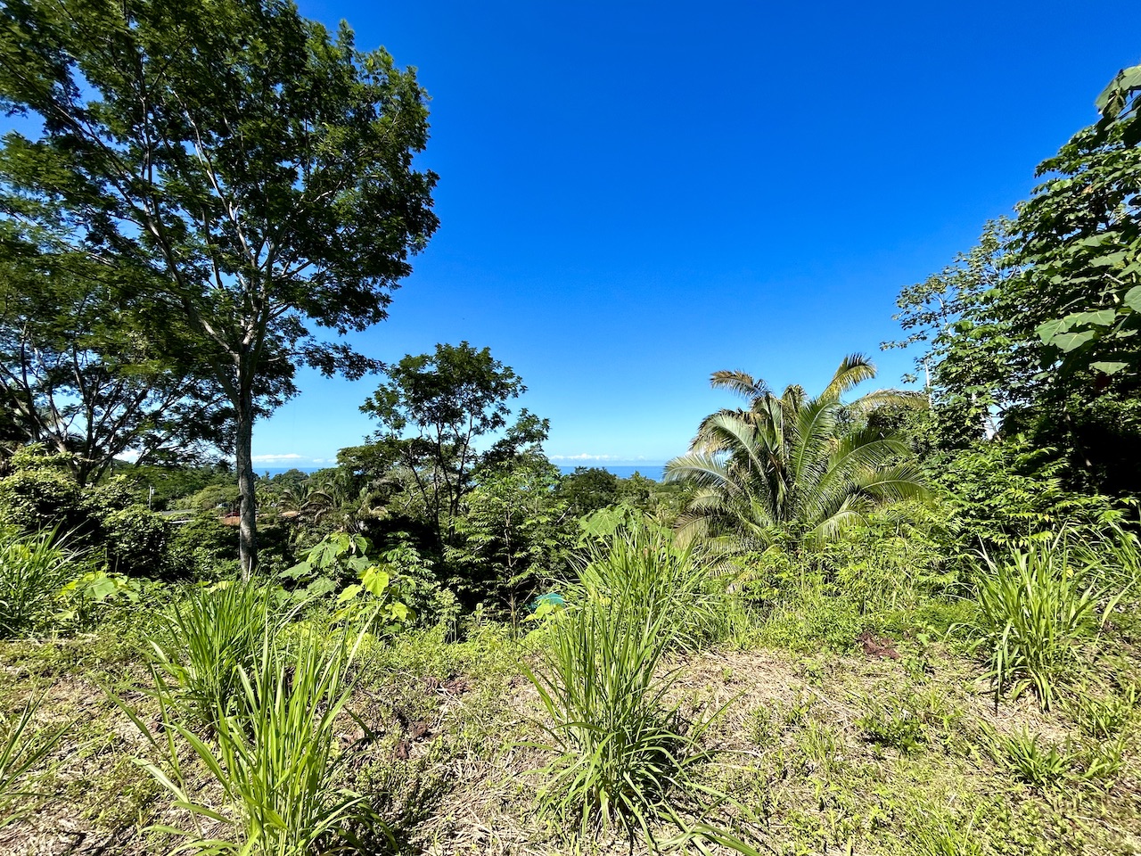 0 bed Land For Sale in Uvita, Puntarenas - thumb 13