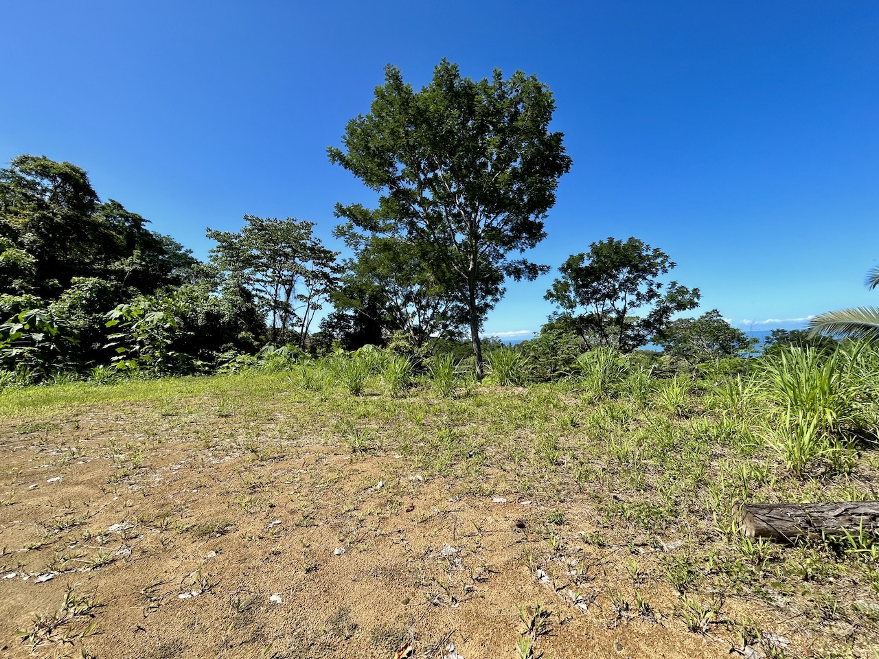 0 bed Land For Sale in Uvita, Puntarenas - thumb 23