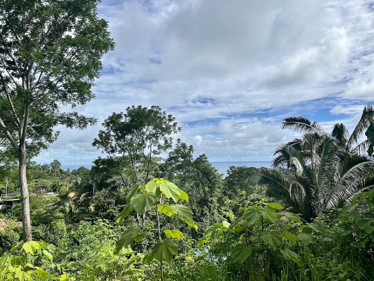 0 bed Land For Sale in Uvita, Puntarenas - thumb 16