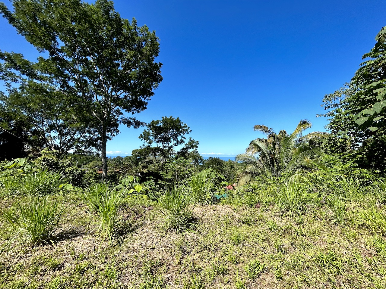 0 bed Land For Sale in Uvita, Puntarenas - thumb 9