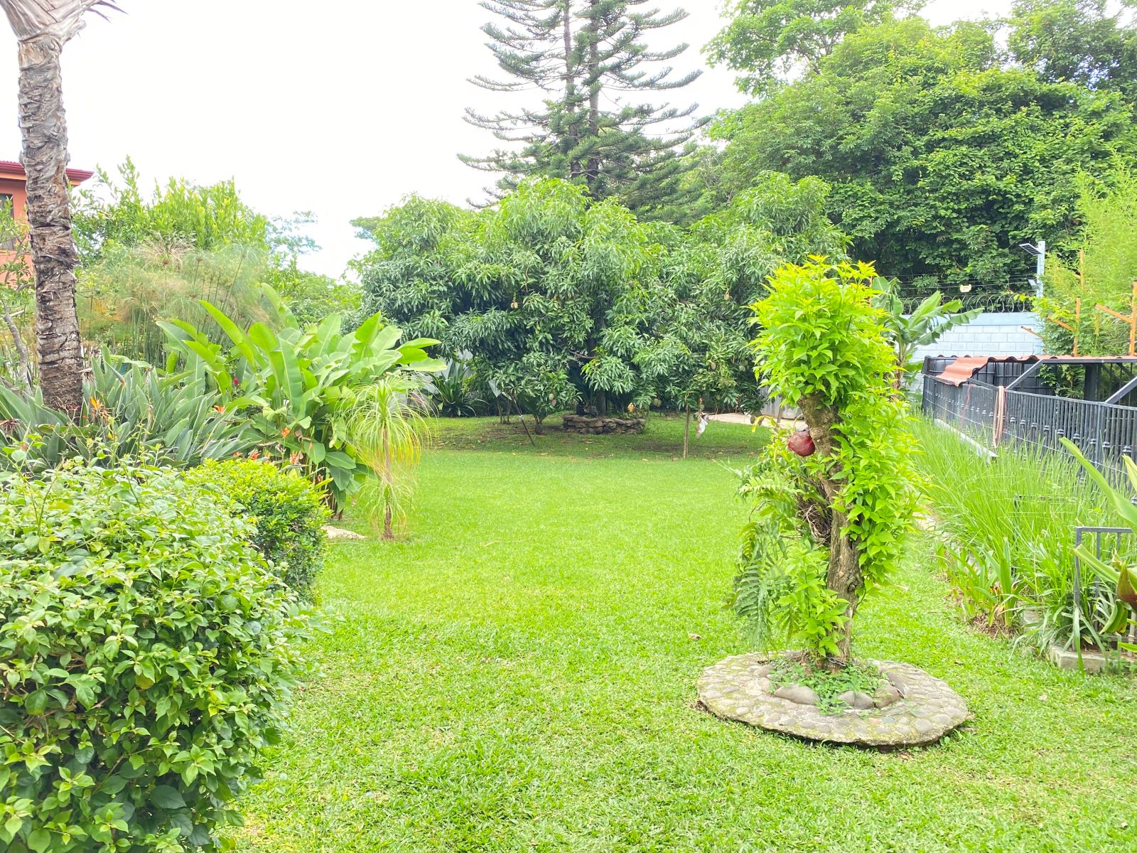 3 bed Single Family Homes For Sale in Santa Ana, San Jose - thumb 18