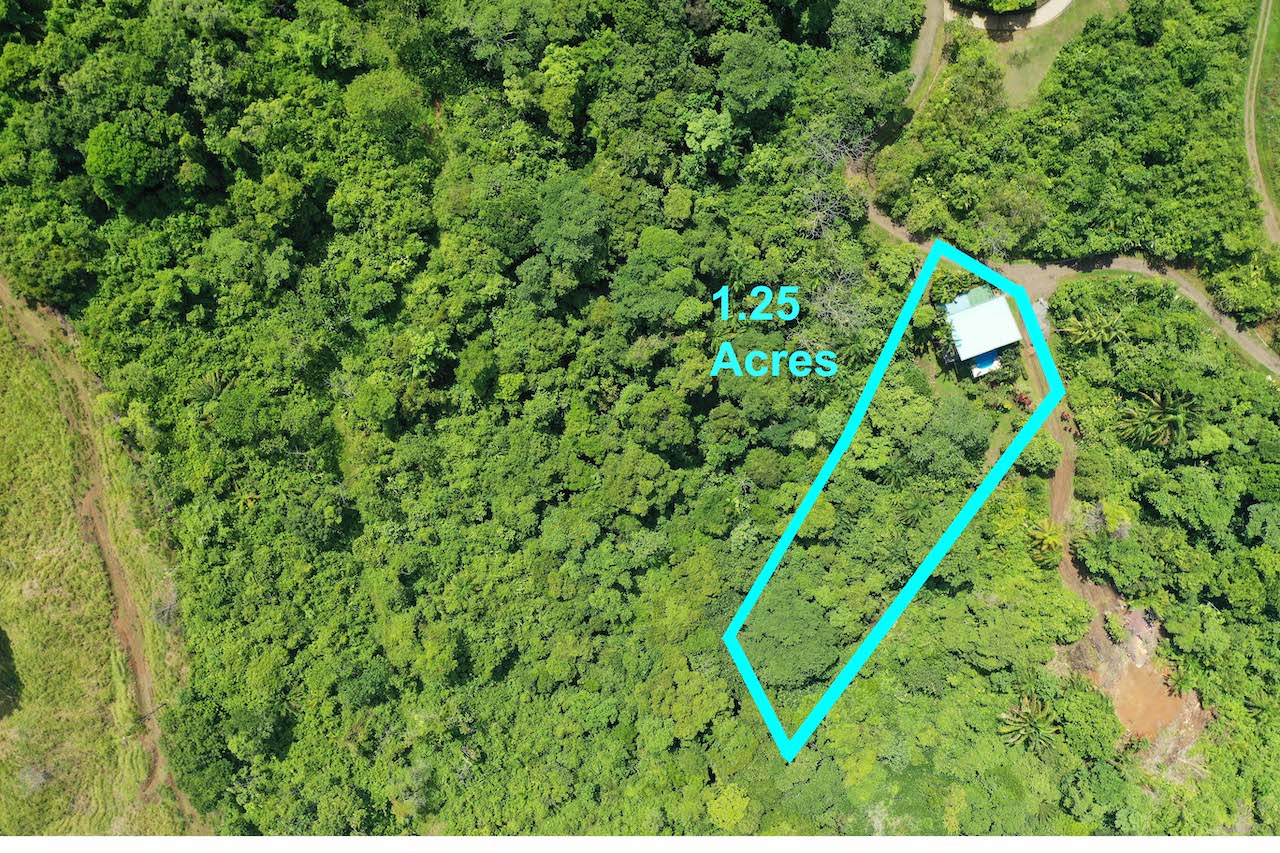 3 bed Single Family Homes For Sale in Quepos, Puntarenas - thumb 1