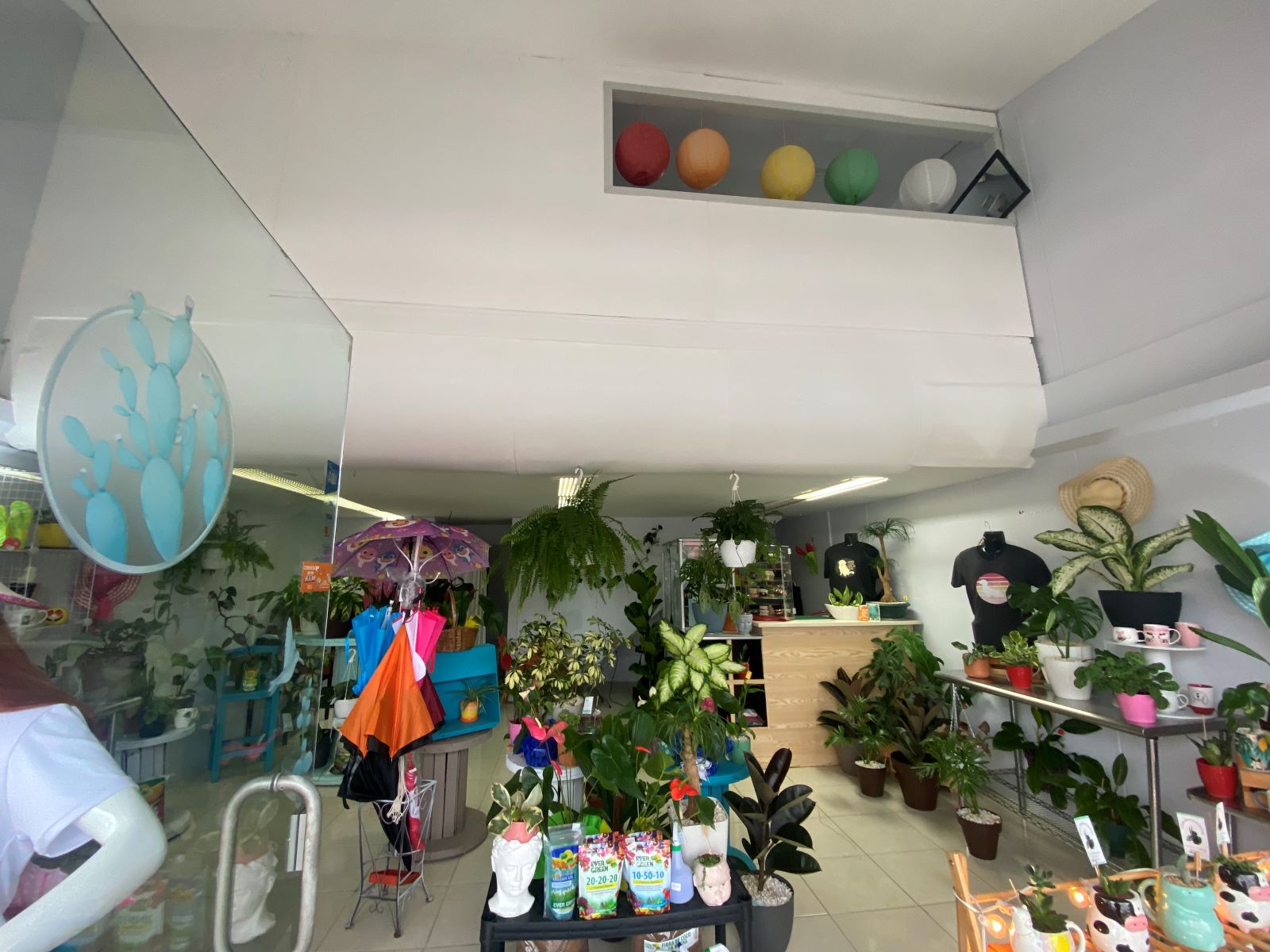 0 bed Commercial For Sale in Desamparados, San Jose - thumb 5