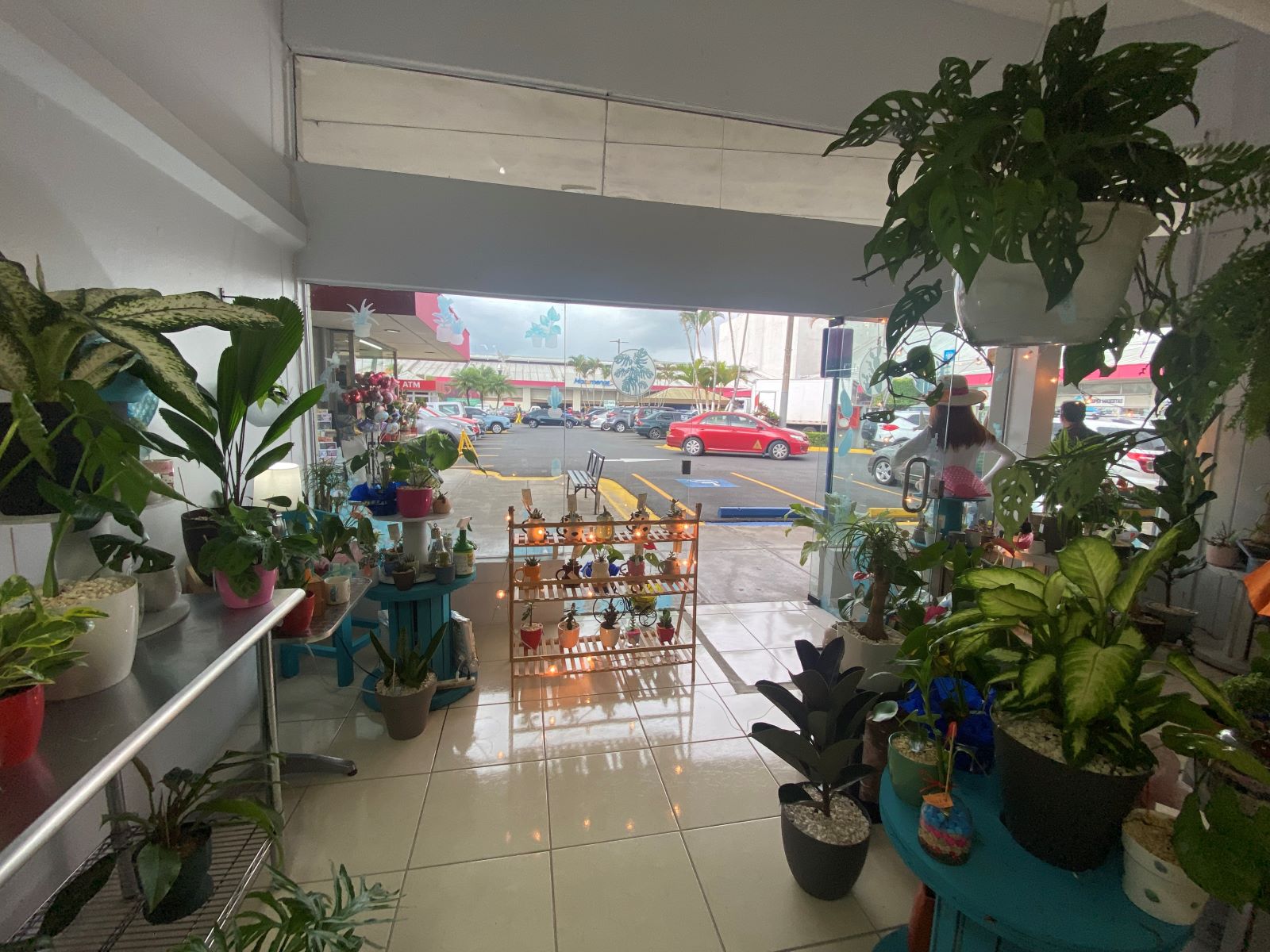 0 bed Commercial For Sale in Desamparados, San Jose - thumb 4