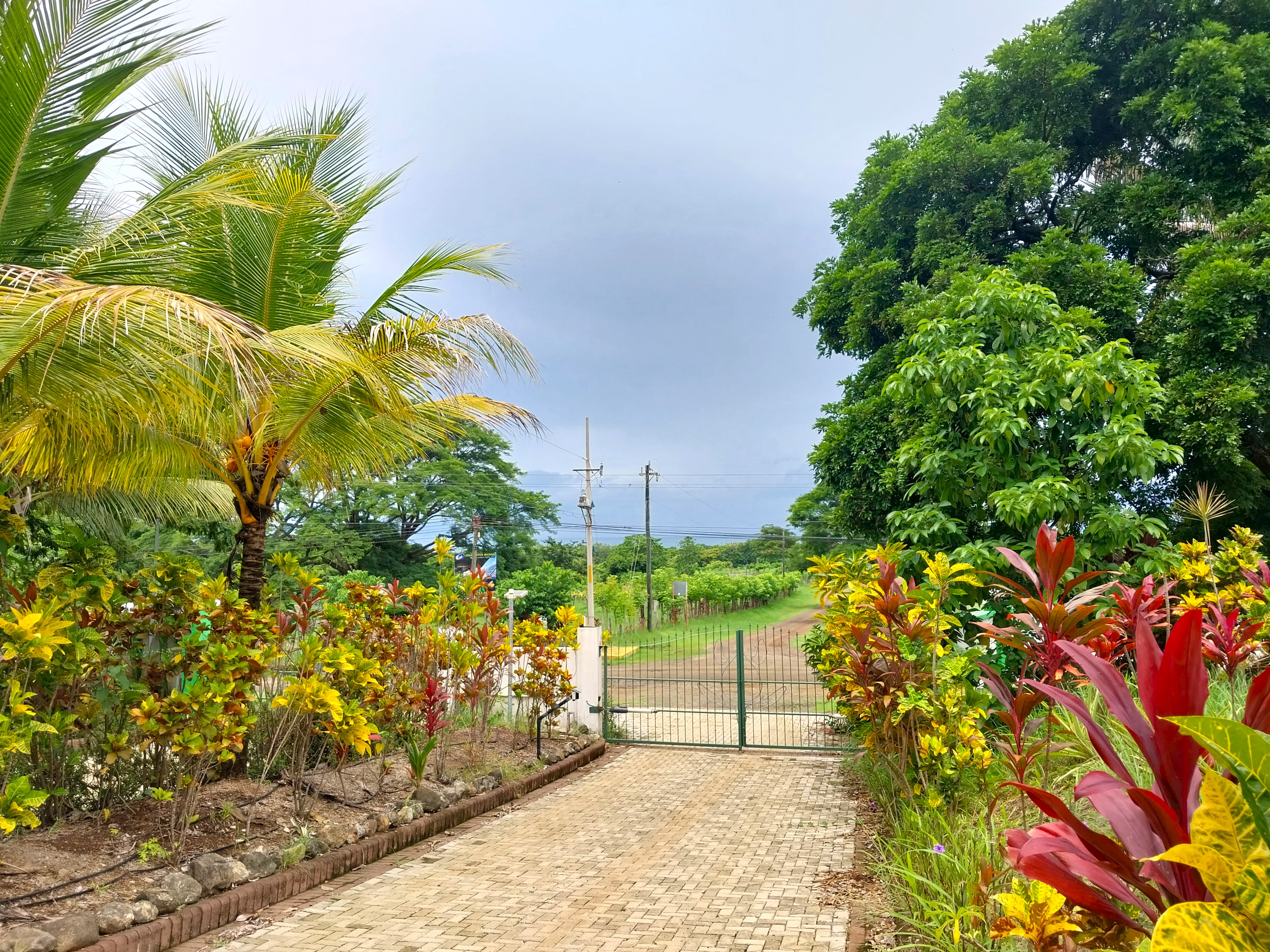 0 bed Land For Sale in Playa Carrillo, Guanacaste - thumb 4