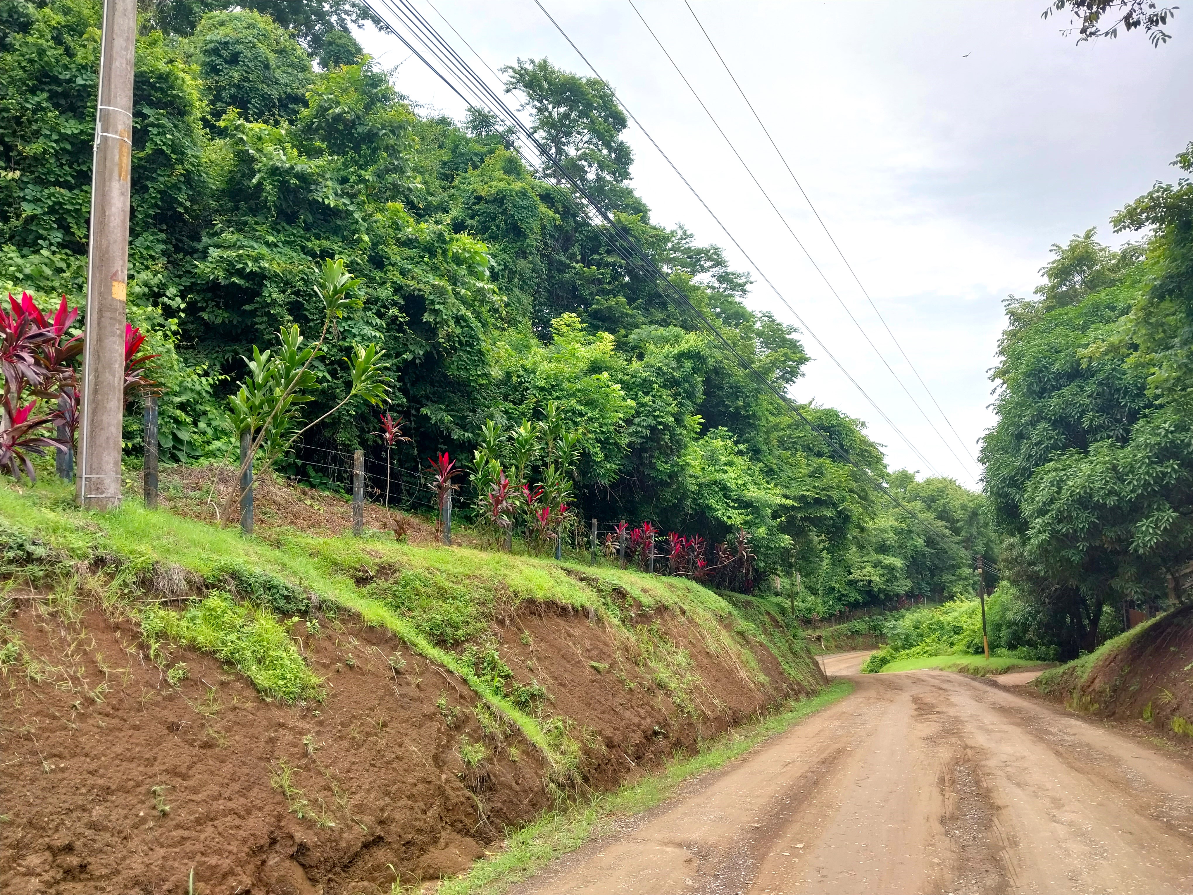 0 bed Land For Sale in Playa Carrillo, Guanacaste - thumb 8