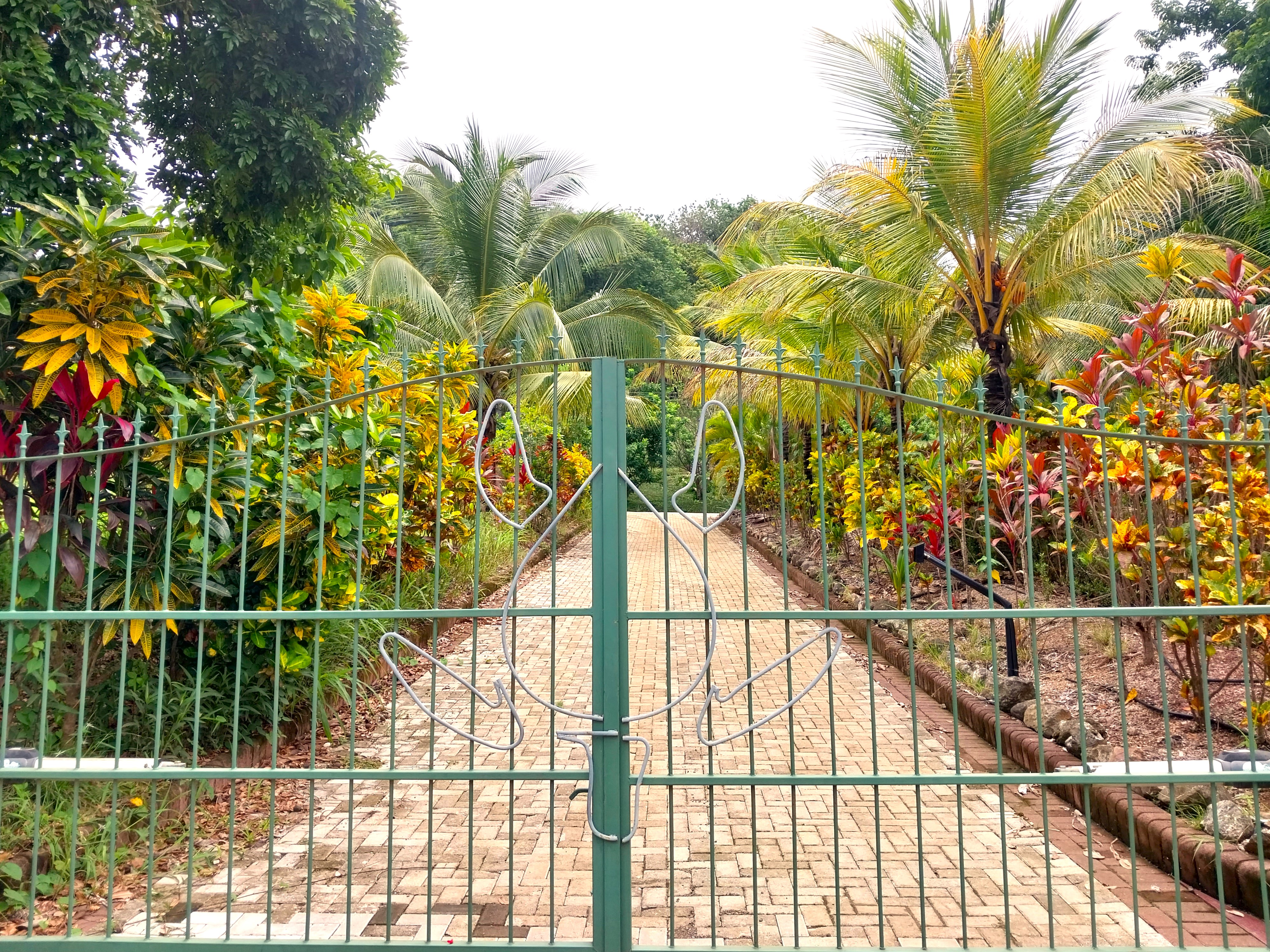 0 bed Land For Sale in Playa Carrillo, Guanacaste - thumb 2