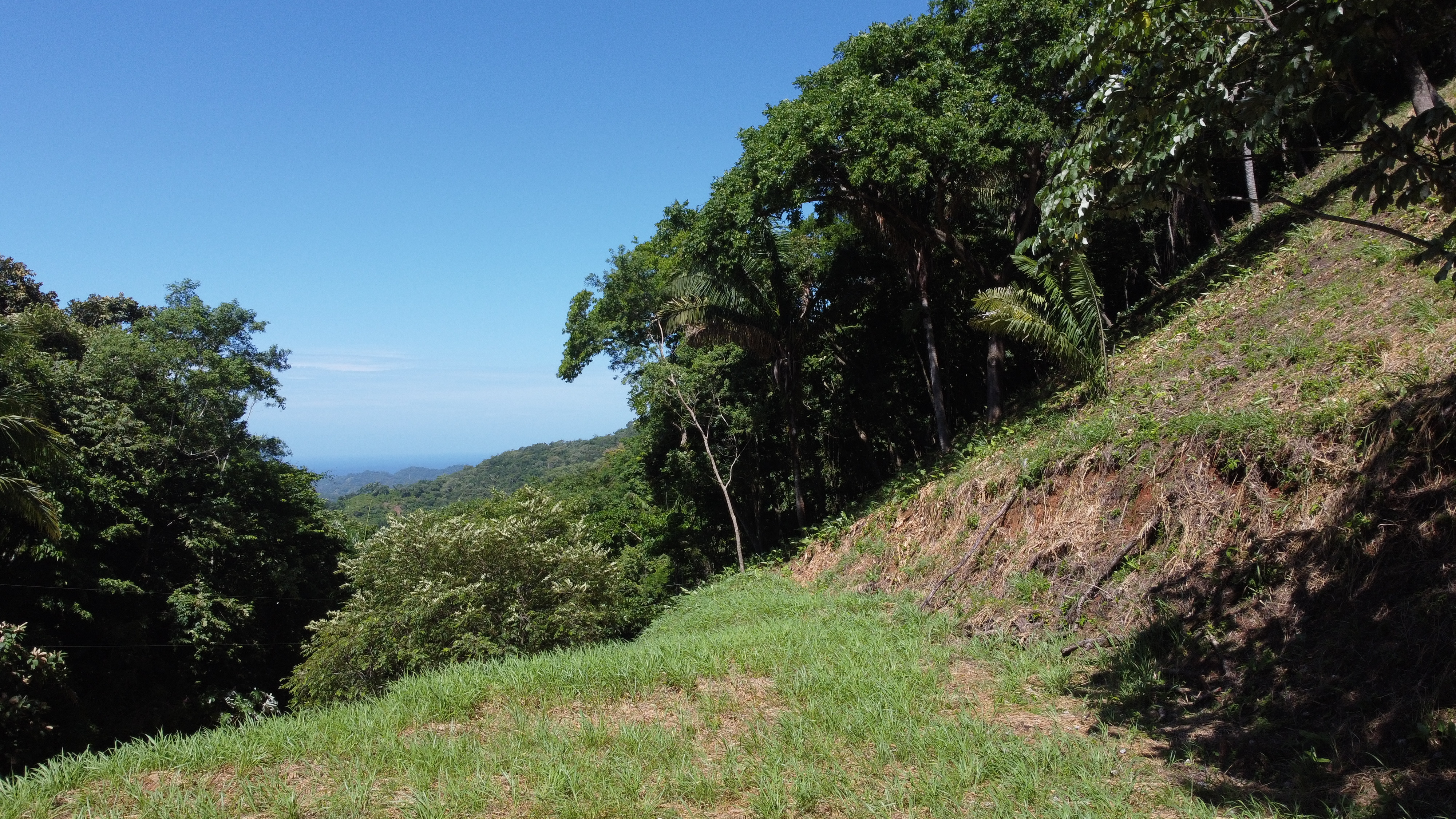 0 bed Land For Sale in Samara, Guanacaste - thumb 4