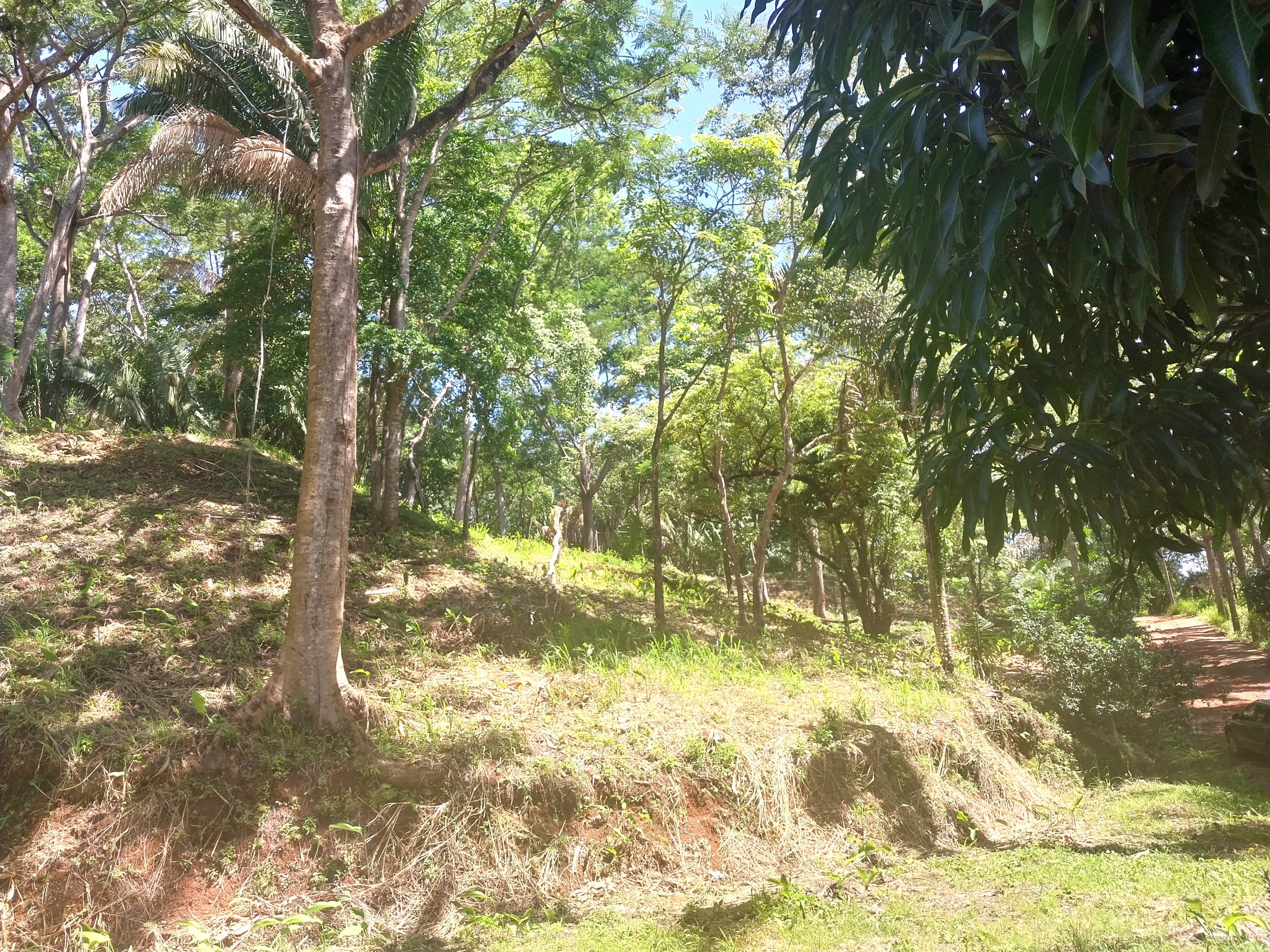 0 bed Land For Sale in Samara, Guanacaste - thumb 5