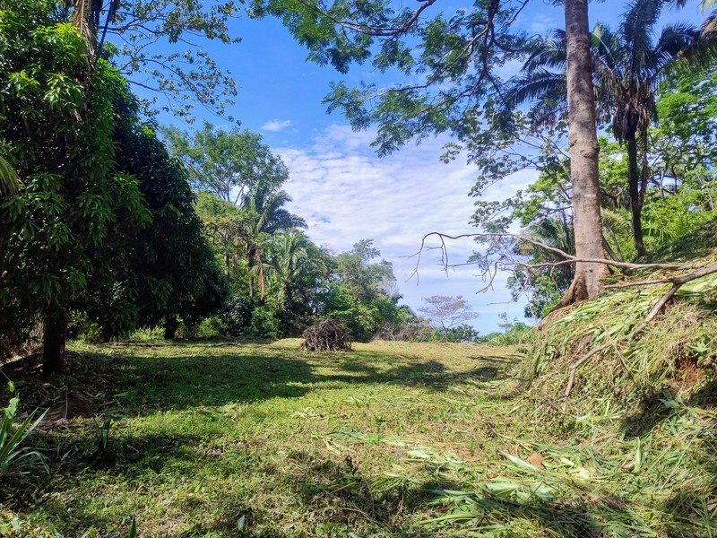 0 bed Land For Sale in Samara, Guanacaste - 1