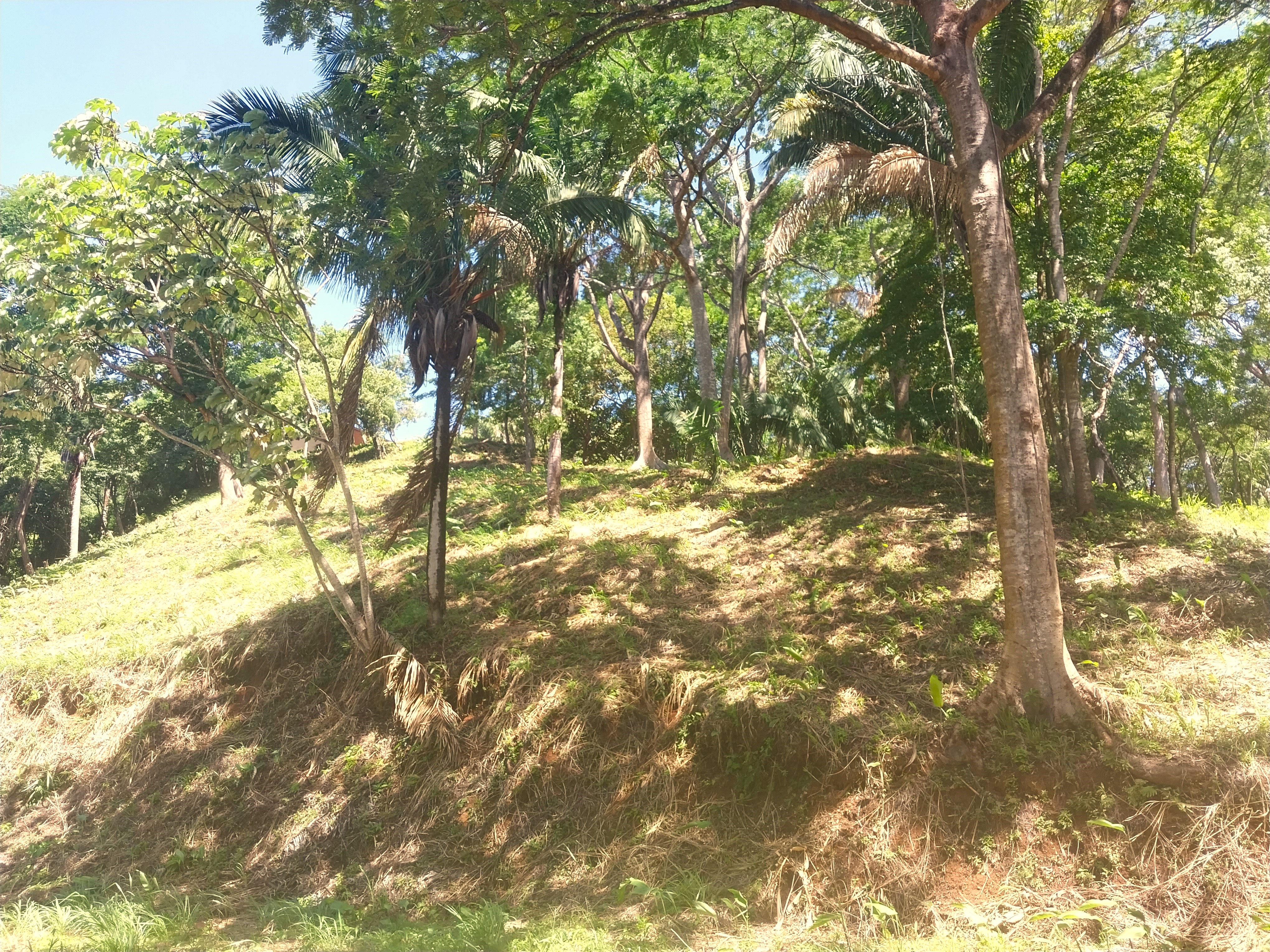 0 bed Land For Sale in Samara, Guanacaste - thumb 6