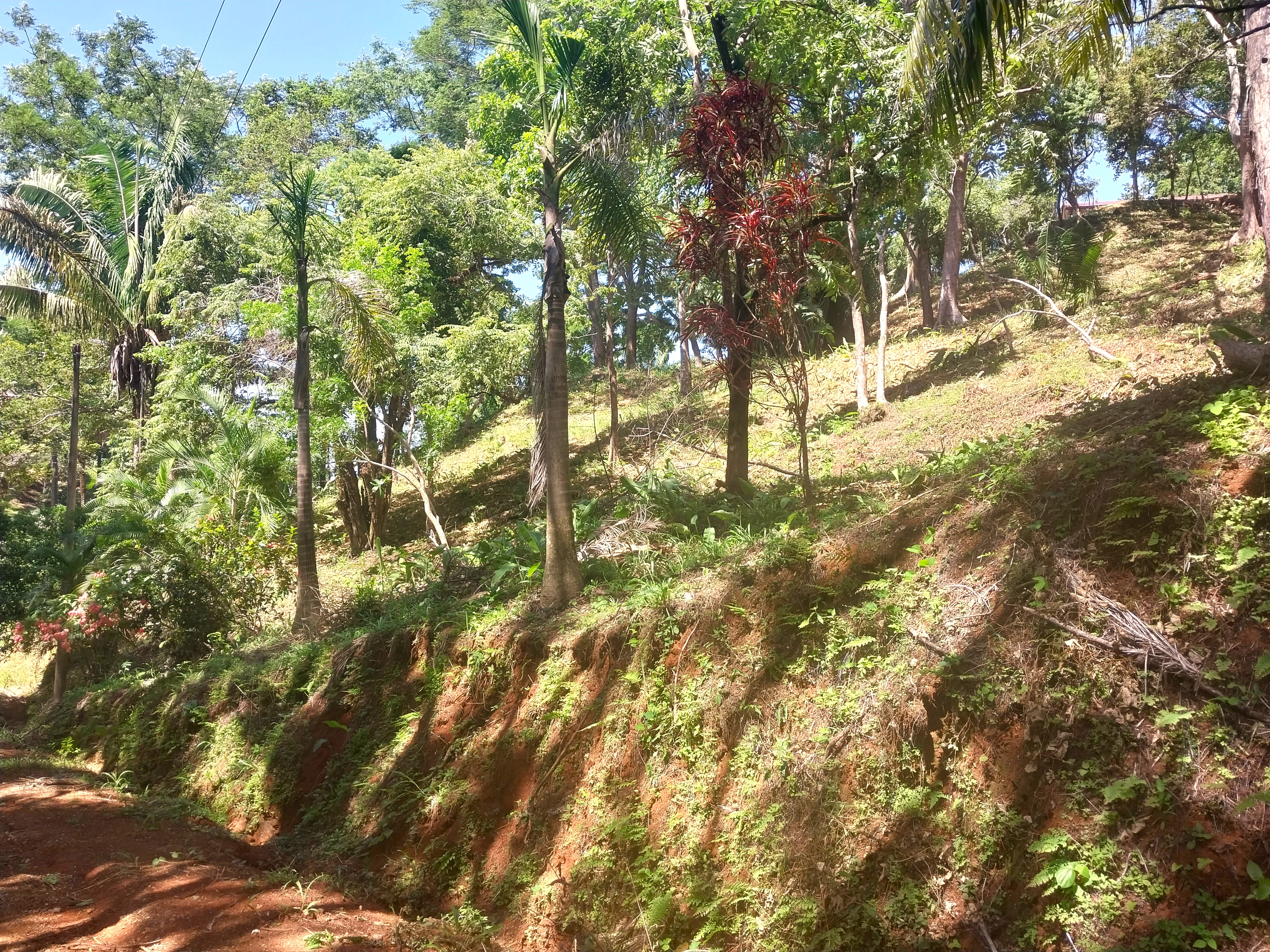 0 bed Land For Sale in Samara, Guanacaste - thumb 7