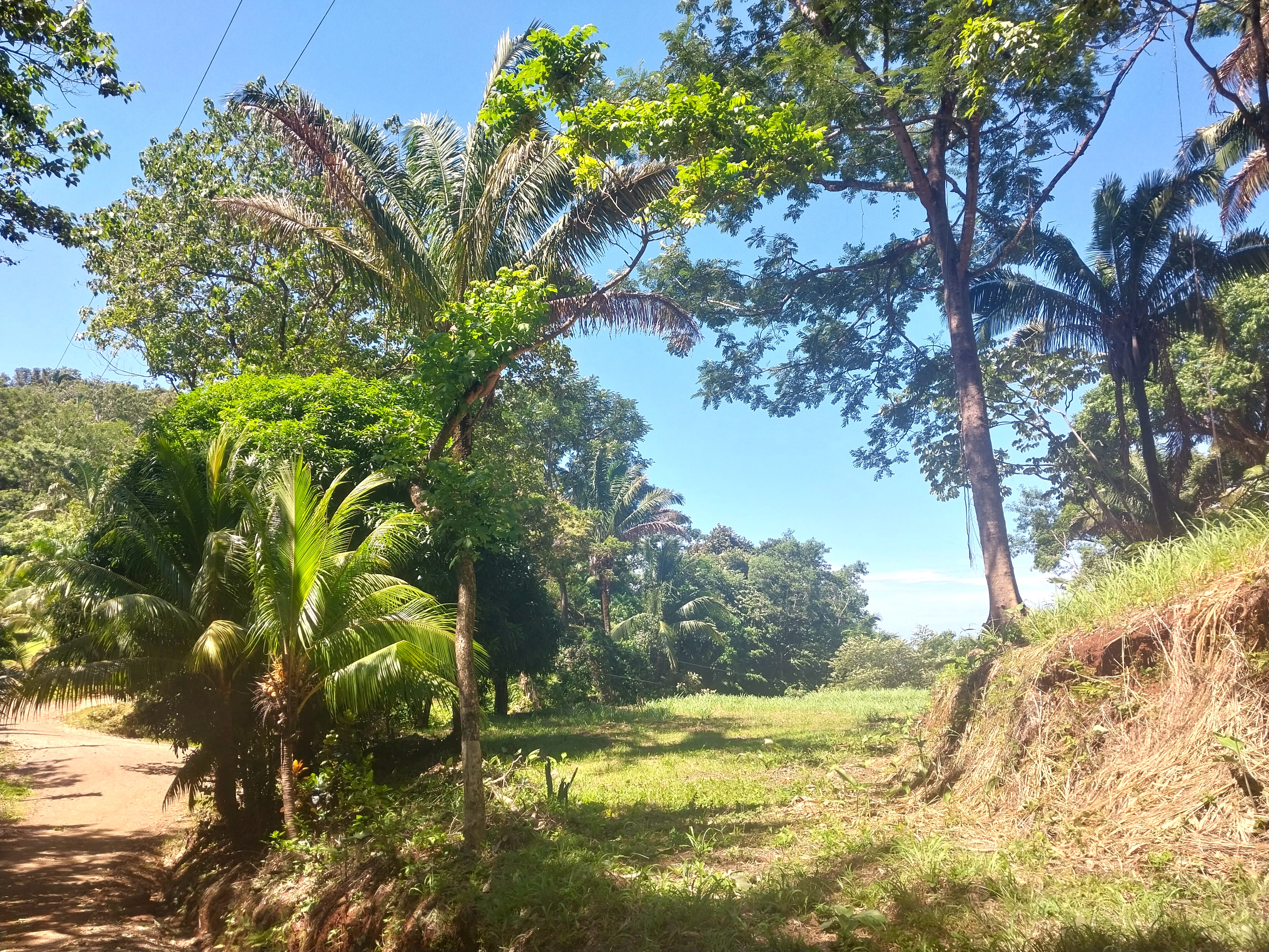 0 bed Land For Sale in Samara, Guanacaste - thumb 1