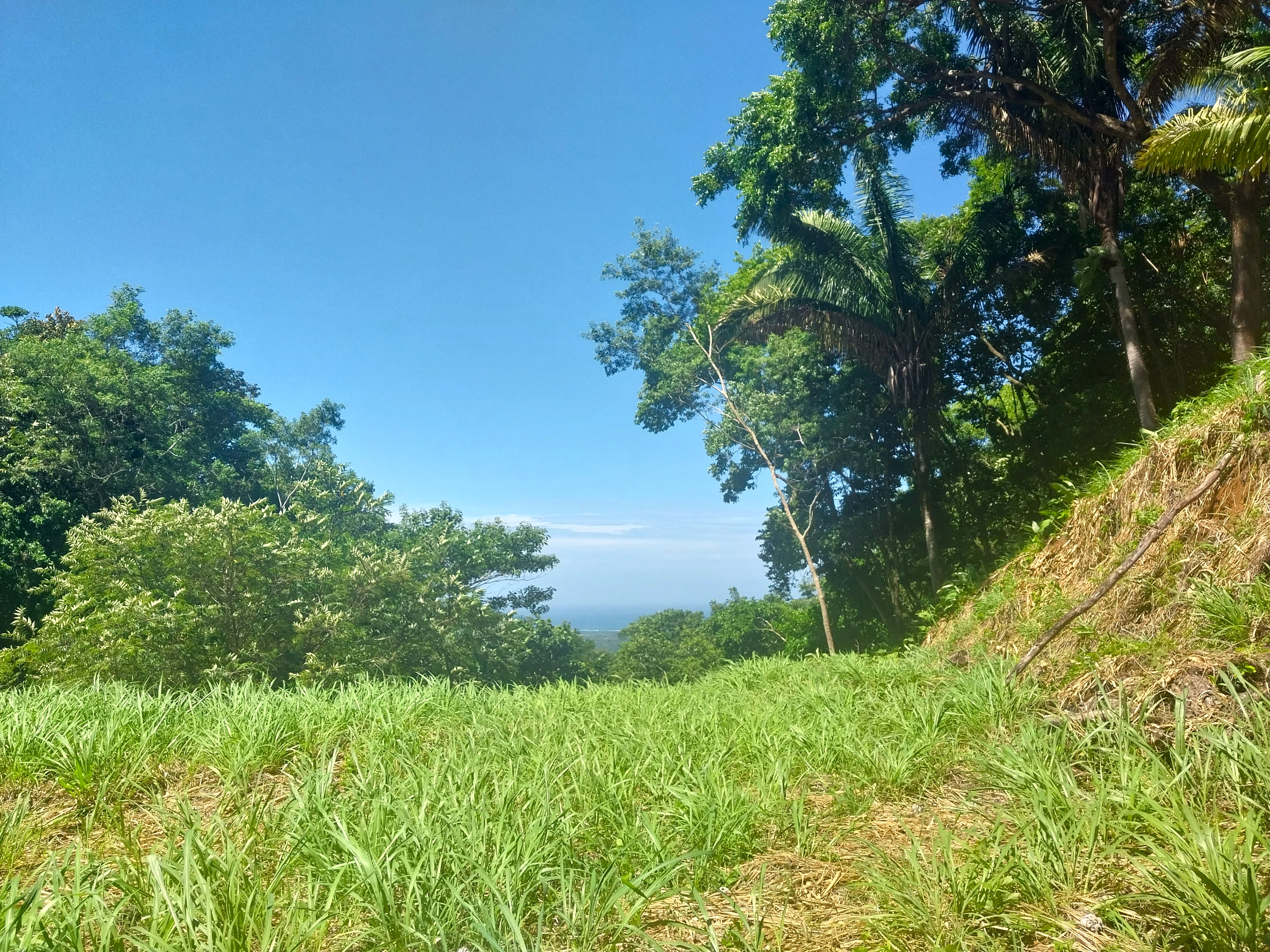 0 bed Land For Sale in Samara, Guanacaste - thumb 2