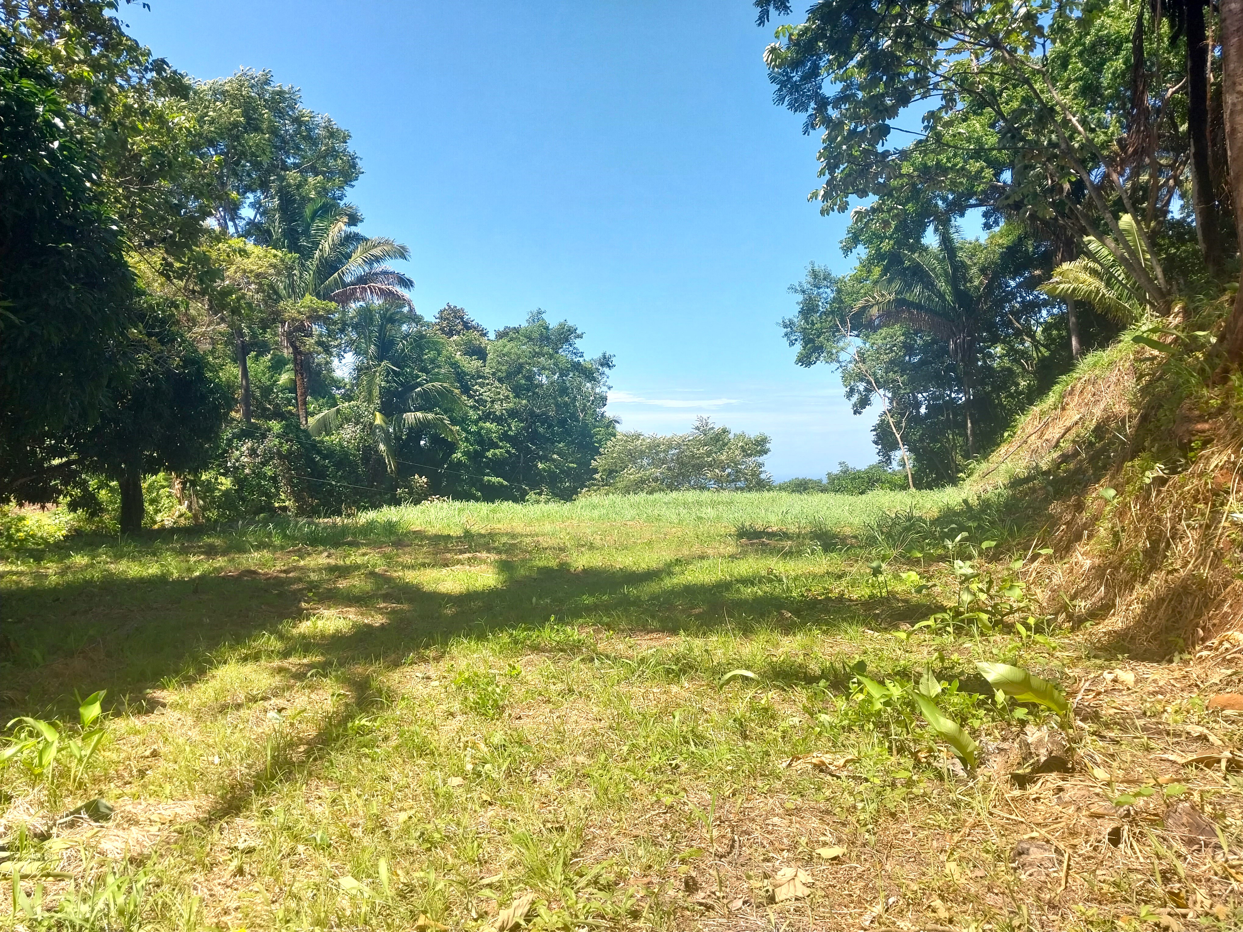 0 bed Land For Sale in Samara, Guanacaste - thumb 3