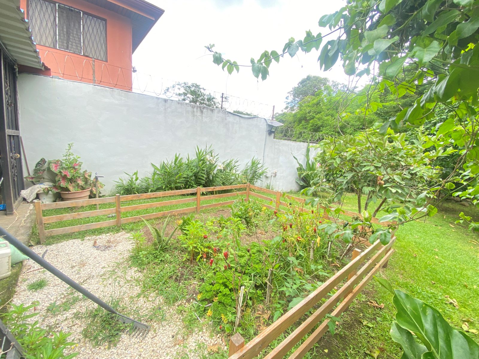 3 bed Single Family Homes For Rent in Santa Ana, San Jose - thumb 16