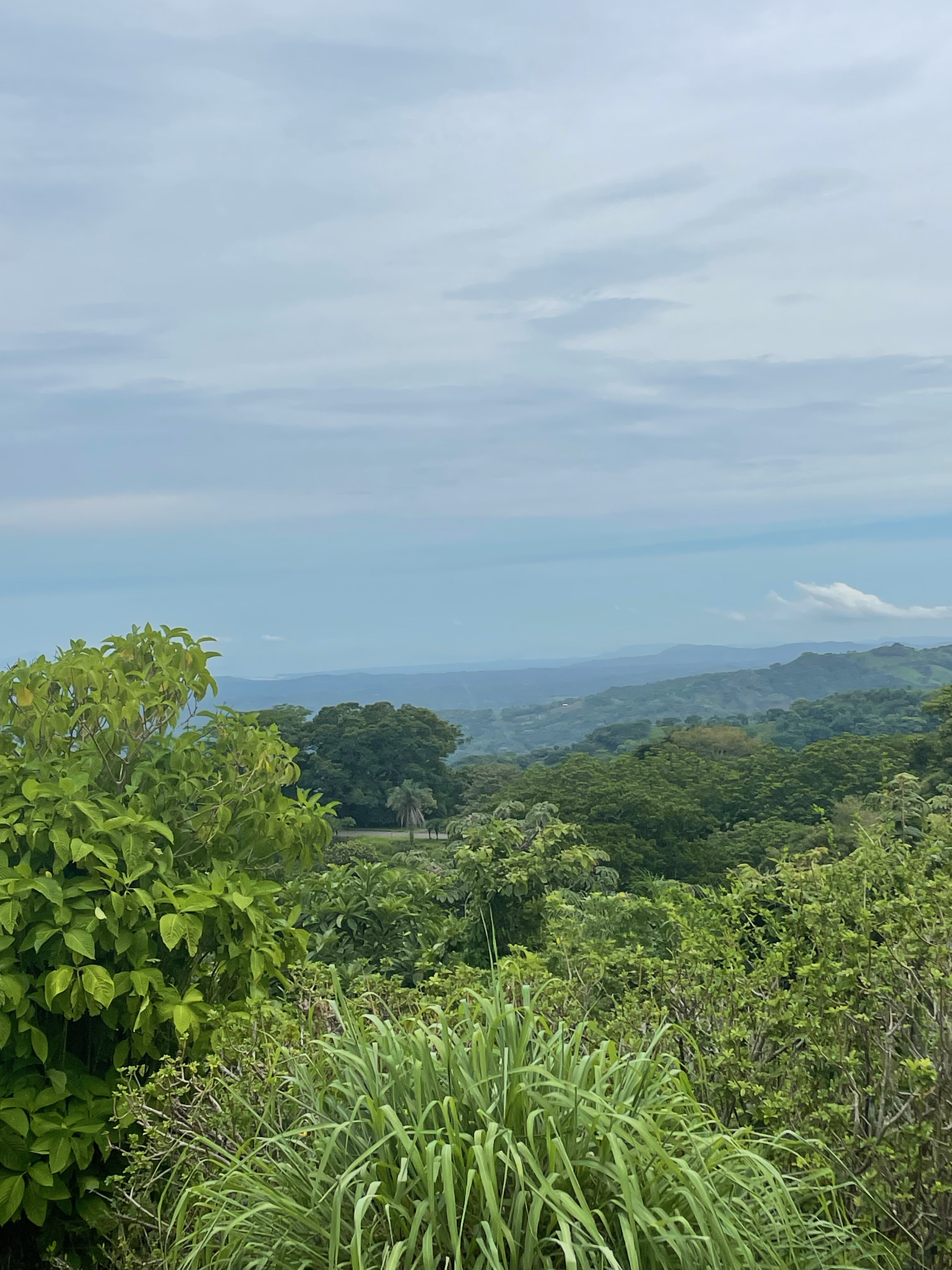 0 bed Land For Sale in Atenas, Alajuela - thumb 2