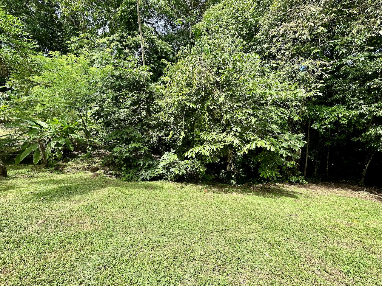 0 bed Land For Sale in Uvita, Puntarenas - thumb 16