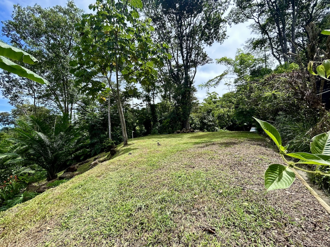 0 bed Land For Sale in Uvita, Puntarenas - thumb 17