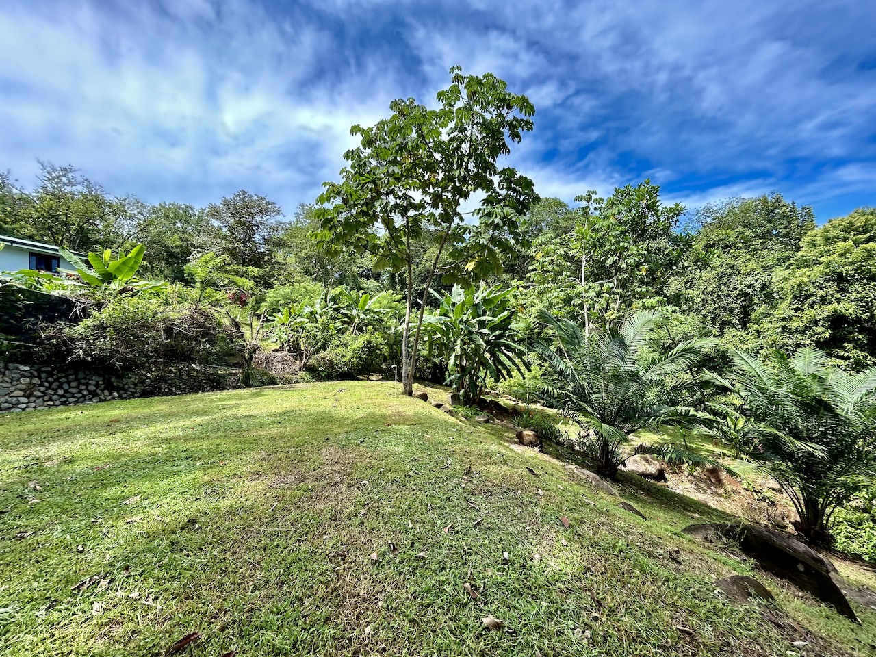 0 bed Land For Sale in Uvita, Puntarenas - thumb 10