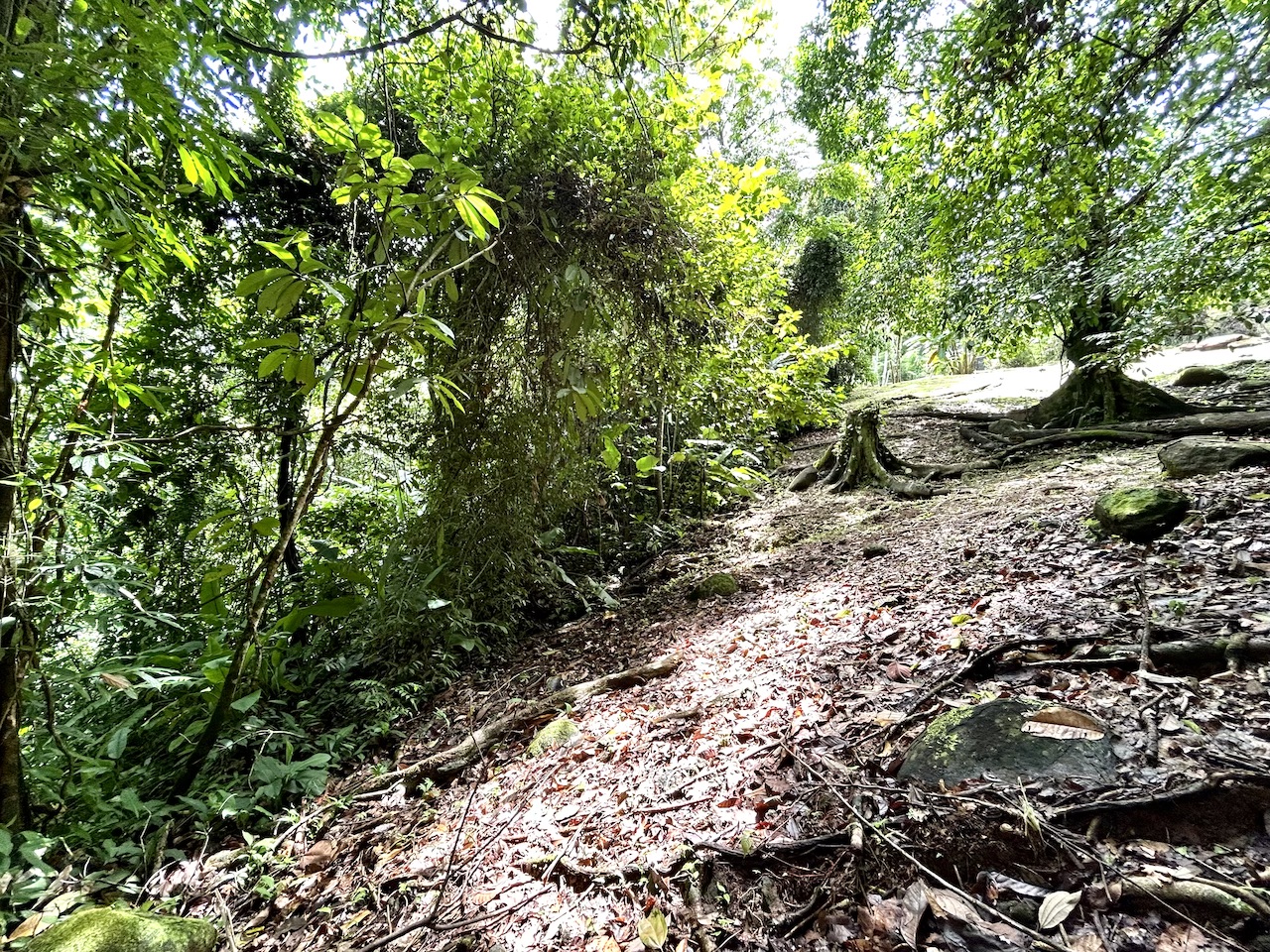 0 bed Land For Sale in Uvita, Puntarenas - thumb 22