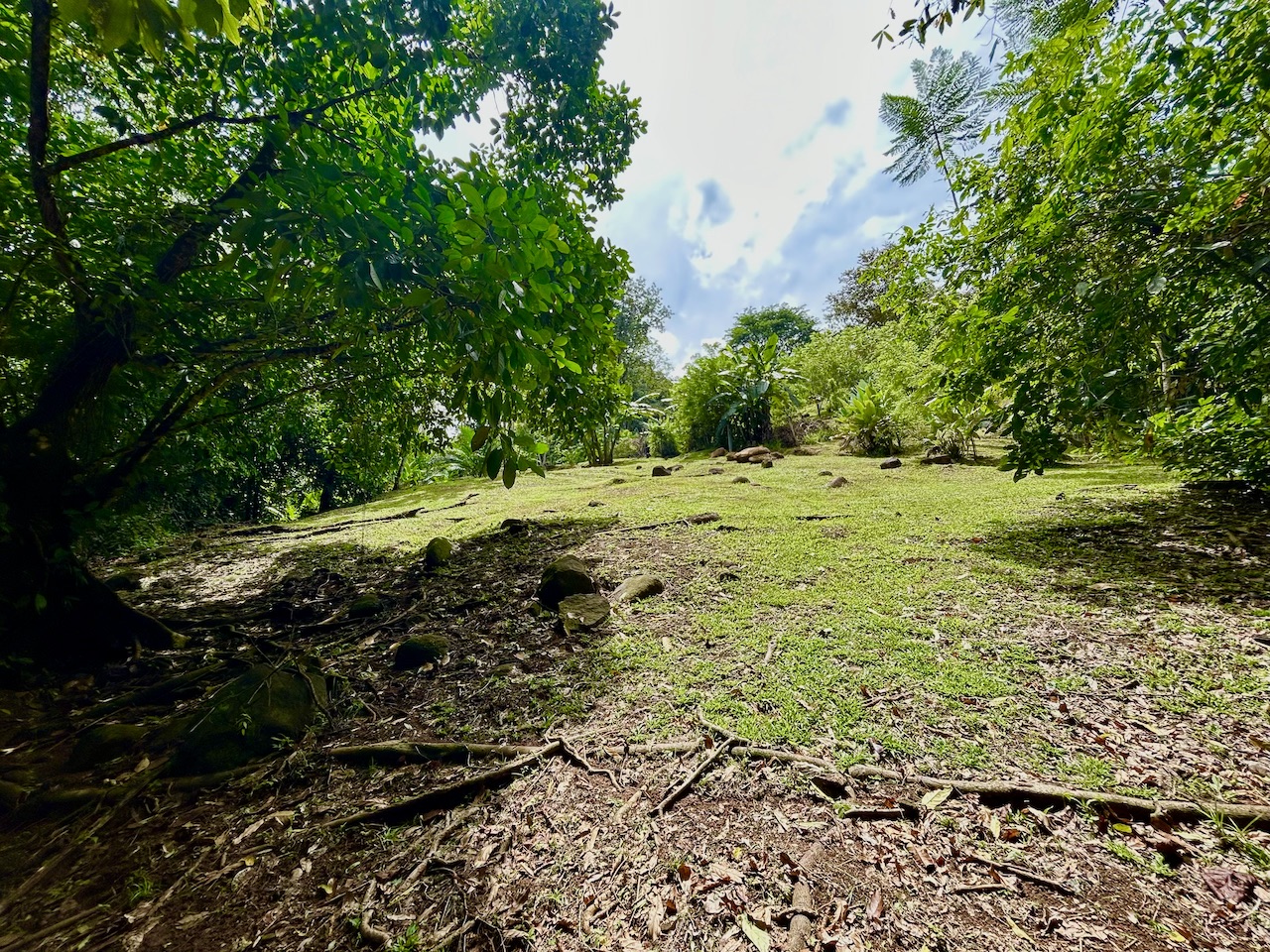 0 bed Land For Sale in Uvita, Puntarenas - thumb 19
