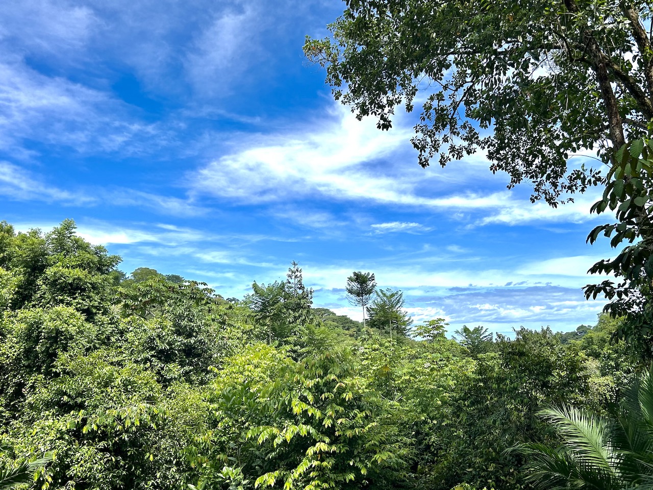 0 bed Land For Sale in Uvita, Puntarenas - thumb 8