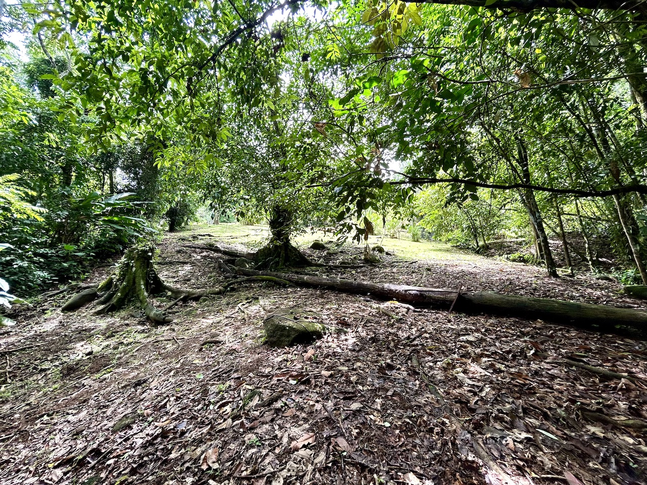 0 bed Land For Sale in Uvita, Puntarenas - thumb 23