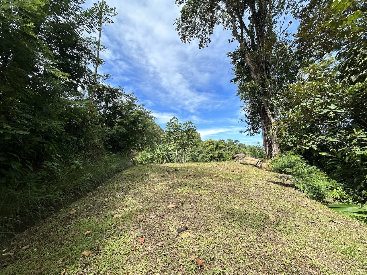0 bed Land For Sale in Uvita, Puntarenas - thumb 7