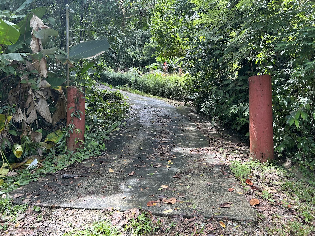 0 bed Land For Sale in Uvita, Puntarenas - thumb 25