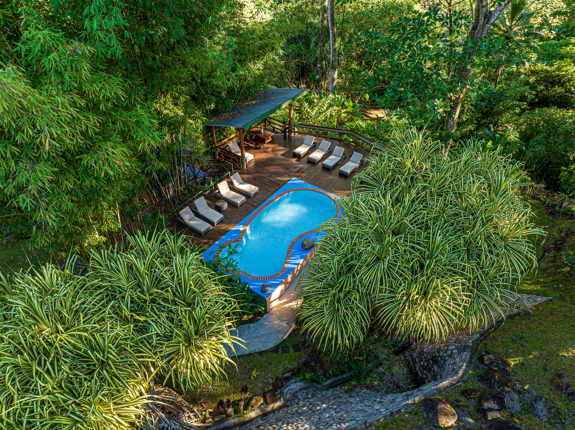 15 bed Hotel / Leisure For Sale in Uvita, Puntarenas - thumb 3