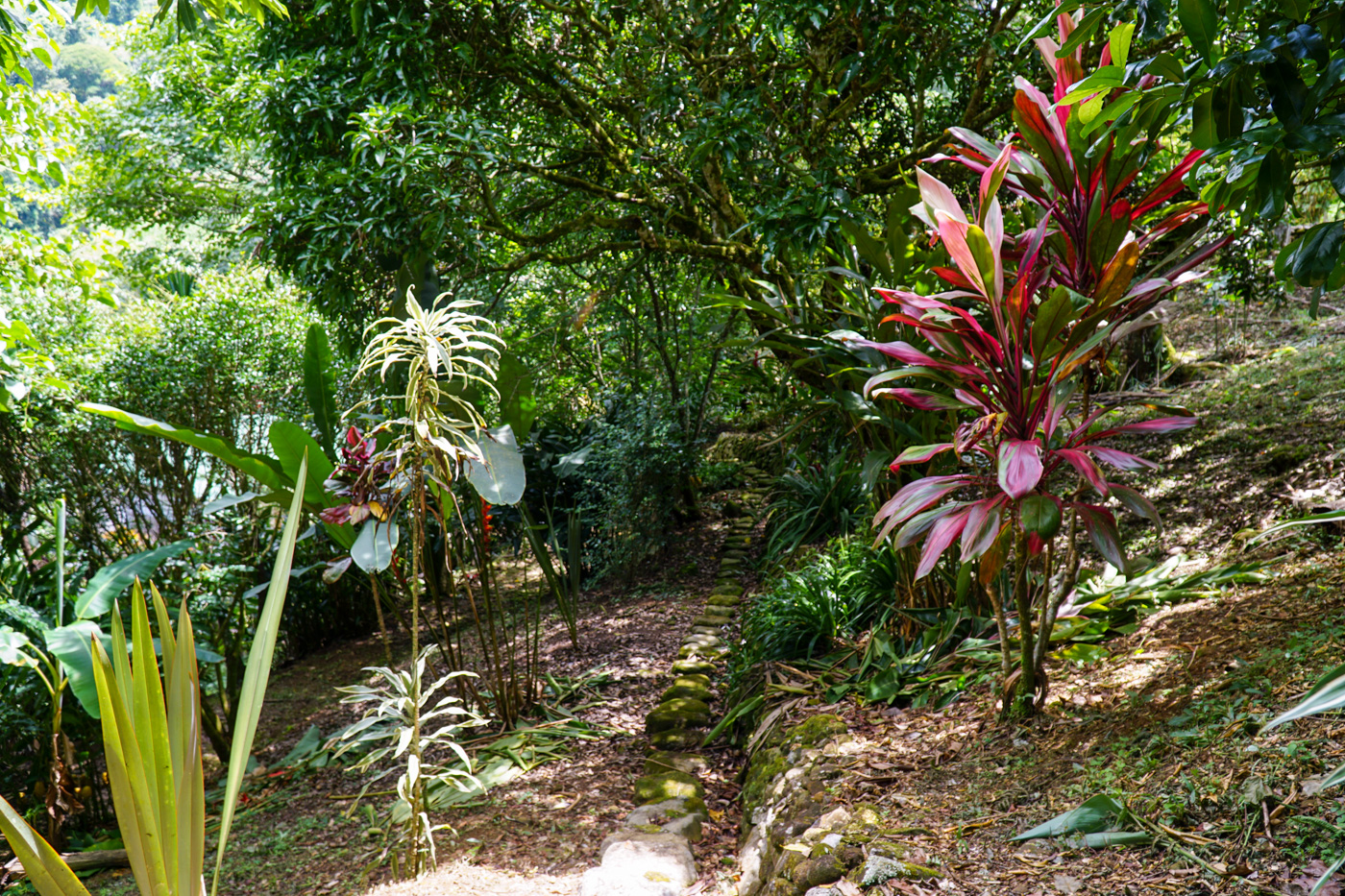 2 bed Single Family Homes For Sale in Perez Zeledon, San Jose - thumb 15