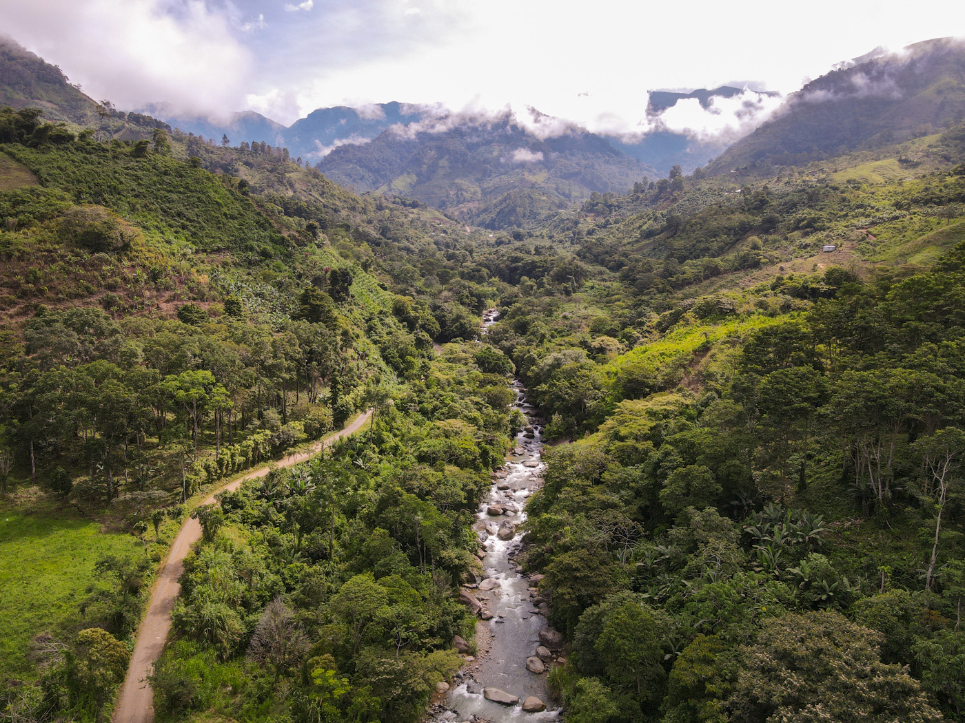 2 bed Single Family Homes For Sale in Perez Zeledon, San Jose - thumb 10