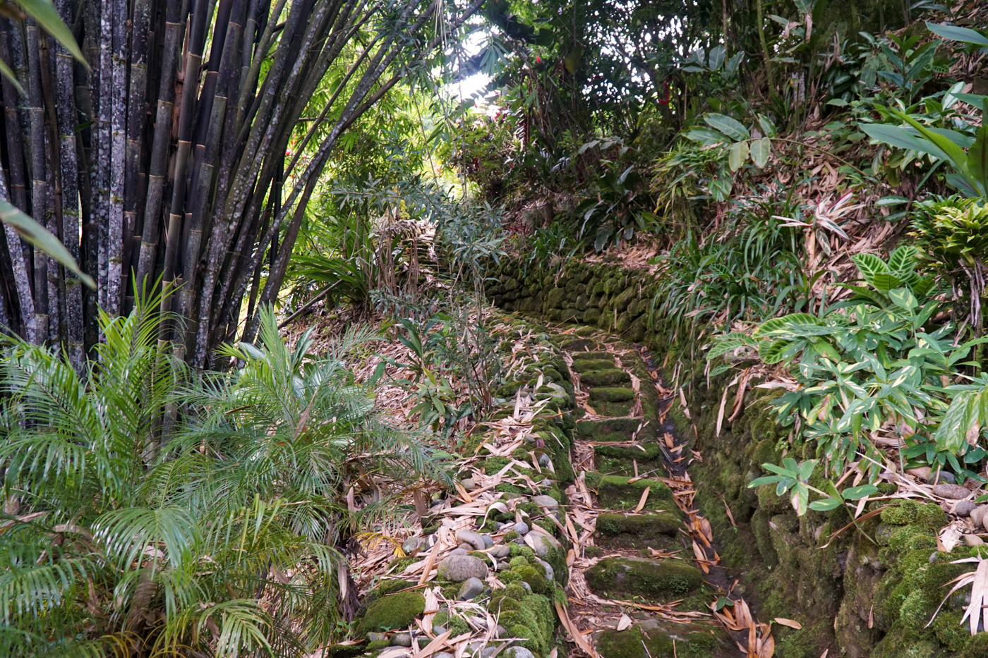 2 bed Single Family Homes For Sale in Perez Zeledon, San Jose - thumb 18