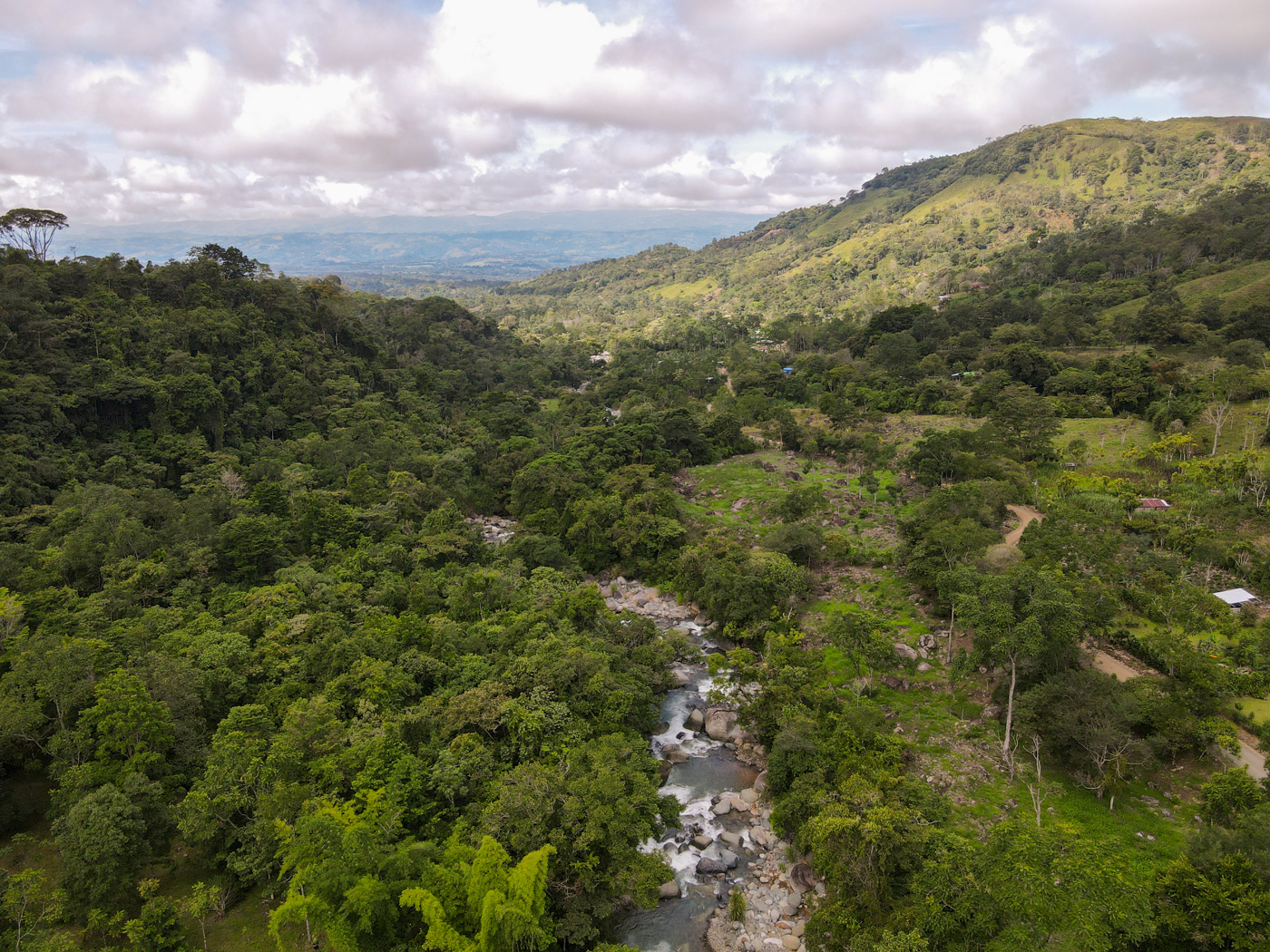 2 bed Single Family Homes For Sale in Perez Zeledon, San Jose - thumb 8