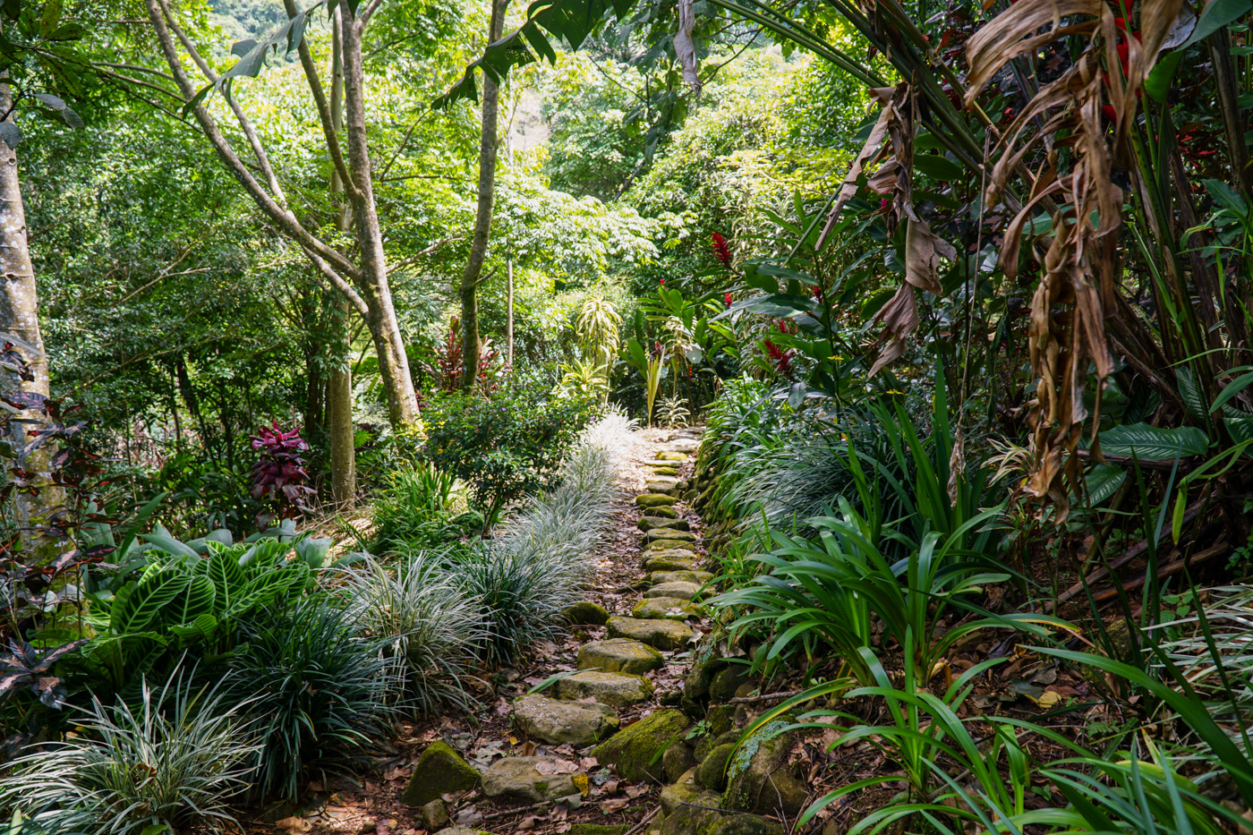 2 bed Single Family Homes For Sale in Perez Zeledon, San Jose - thumb 11