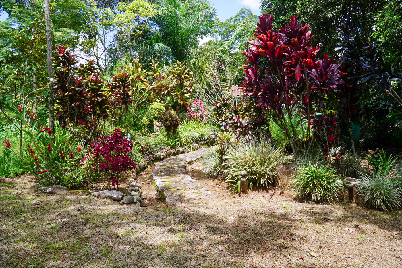 2 bed Single Family Homes For Sale in Perez Zeledon, San Jose - thumb 16