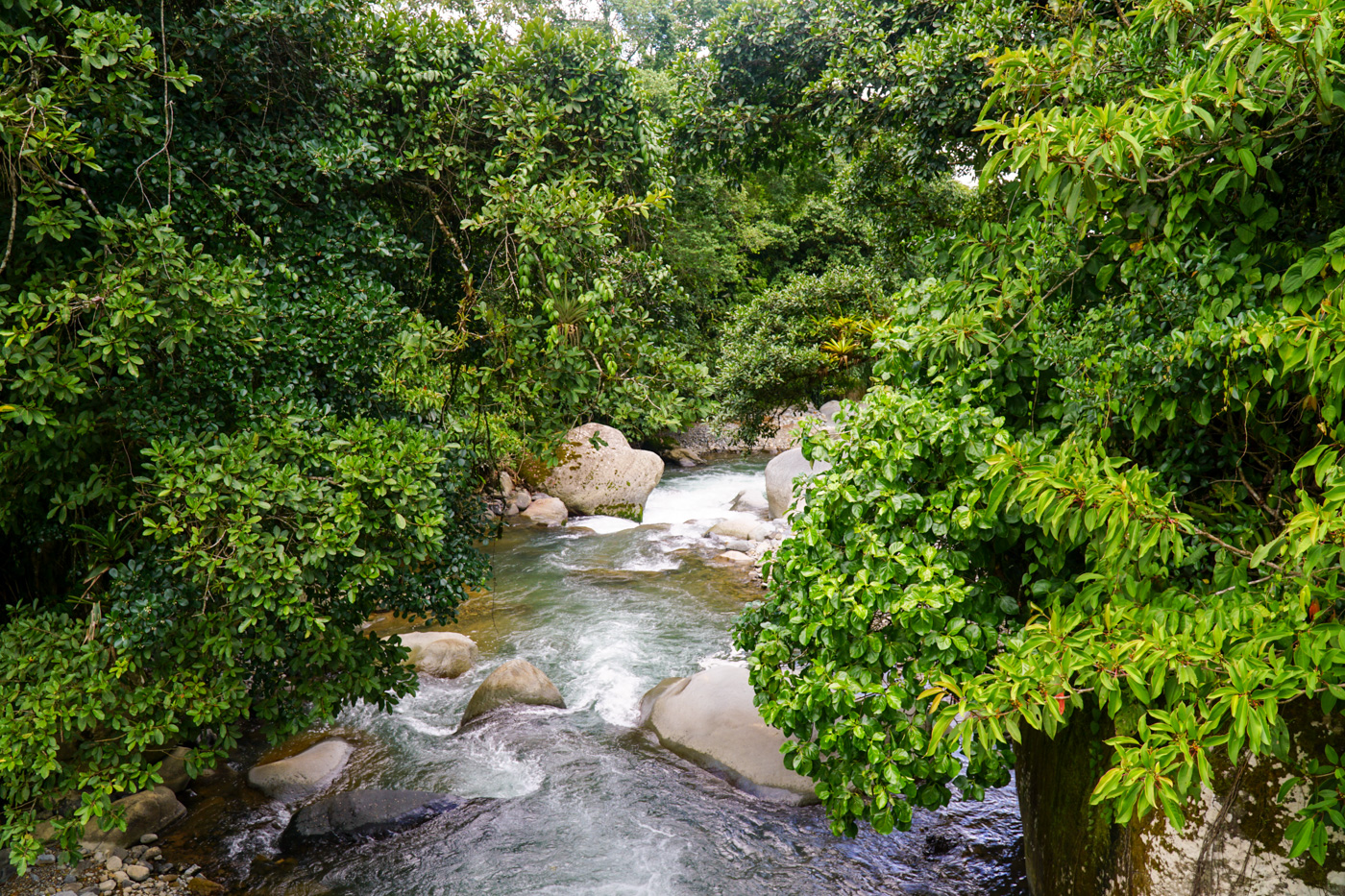 2 bed Single Family Homes For Sale in Perez Zeledon, San Jose - thumb 13