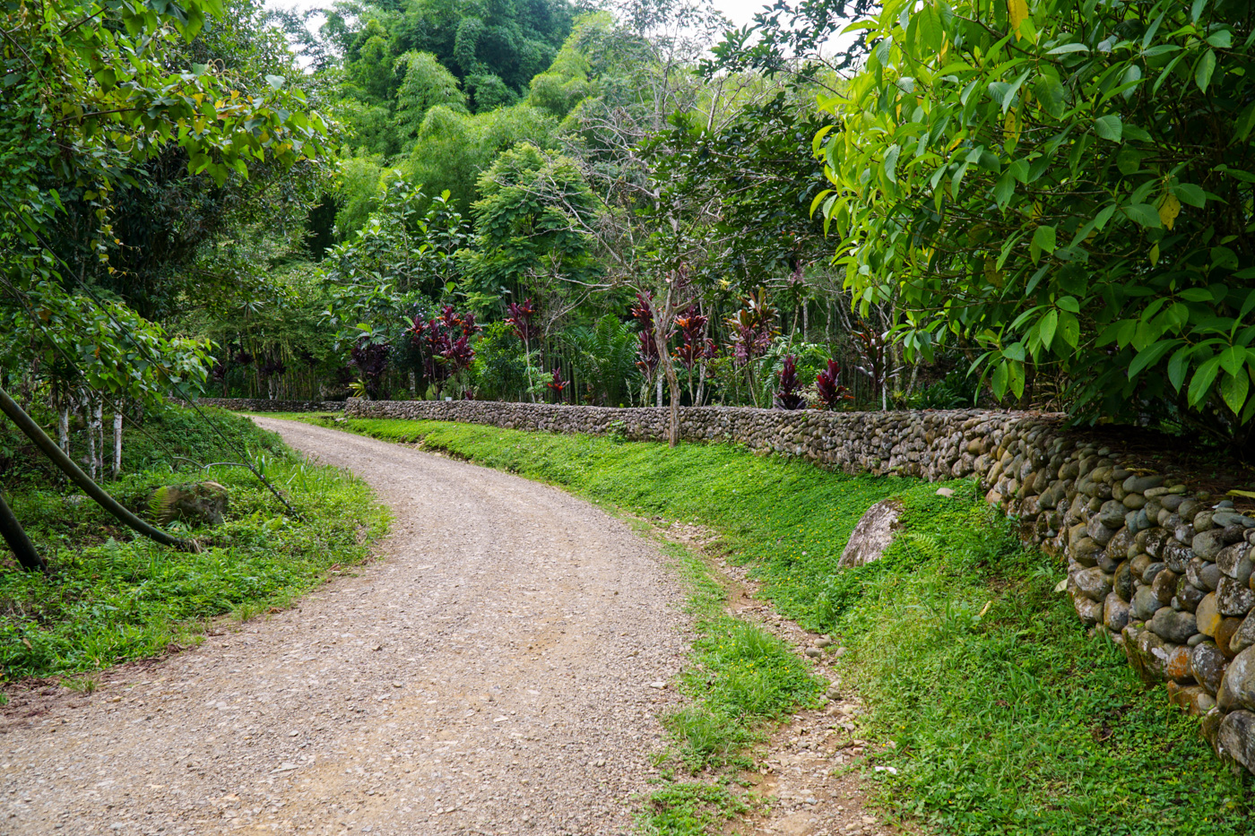 2 bed Single Family Homes For Sale in Perez Zeledon, San Jose - thumb 30