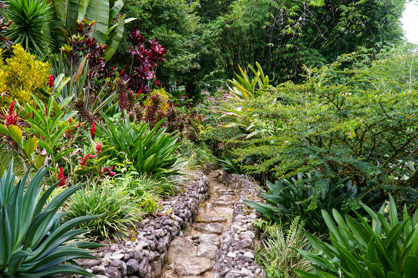 2 bed Single Family Homes For Sale in Perez Zeledon, San Jose - thumb 20