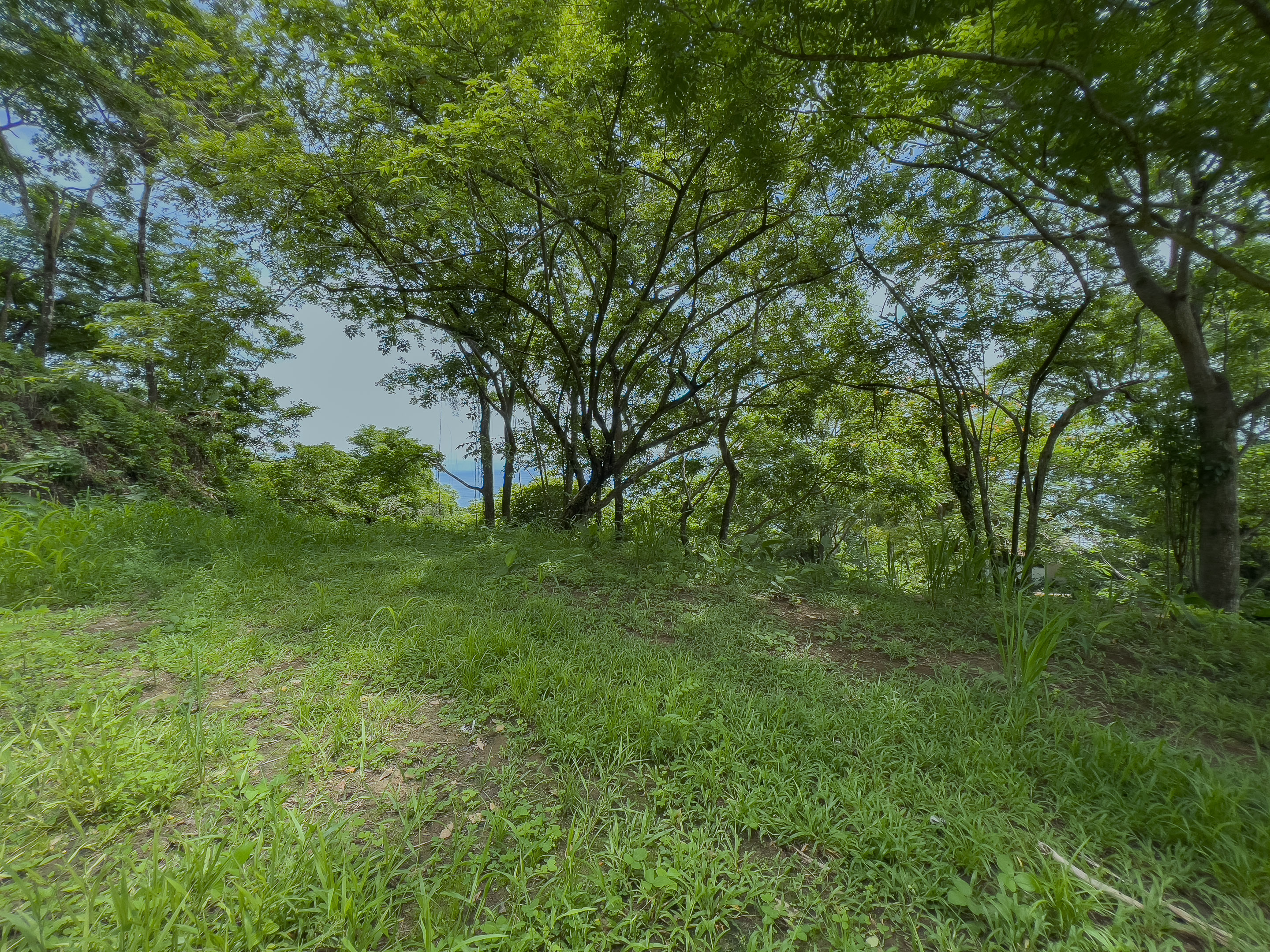 0 bed Land For Sale in Santa Teresa, Puntarenas - thumb 4
