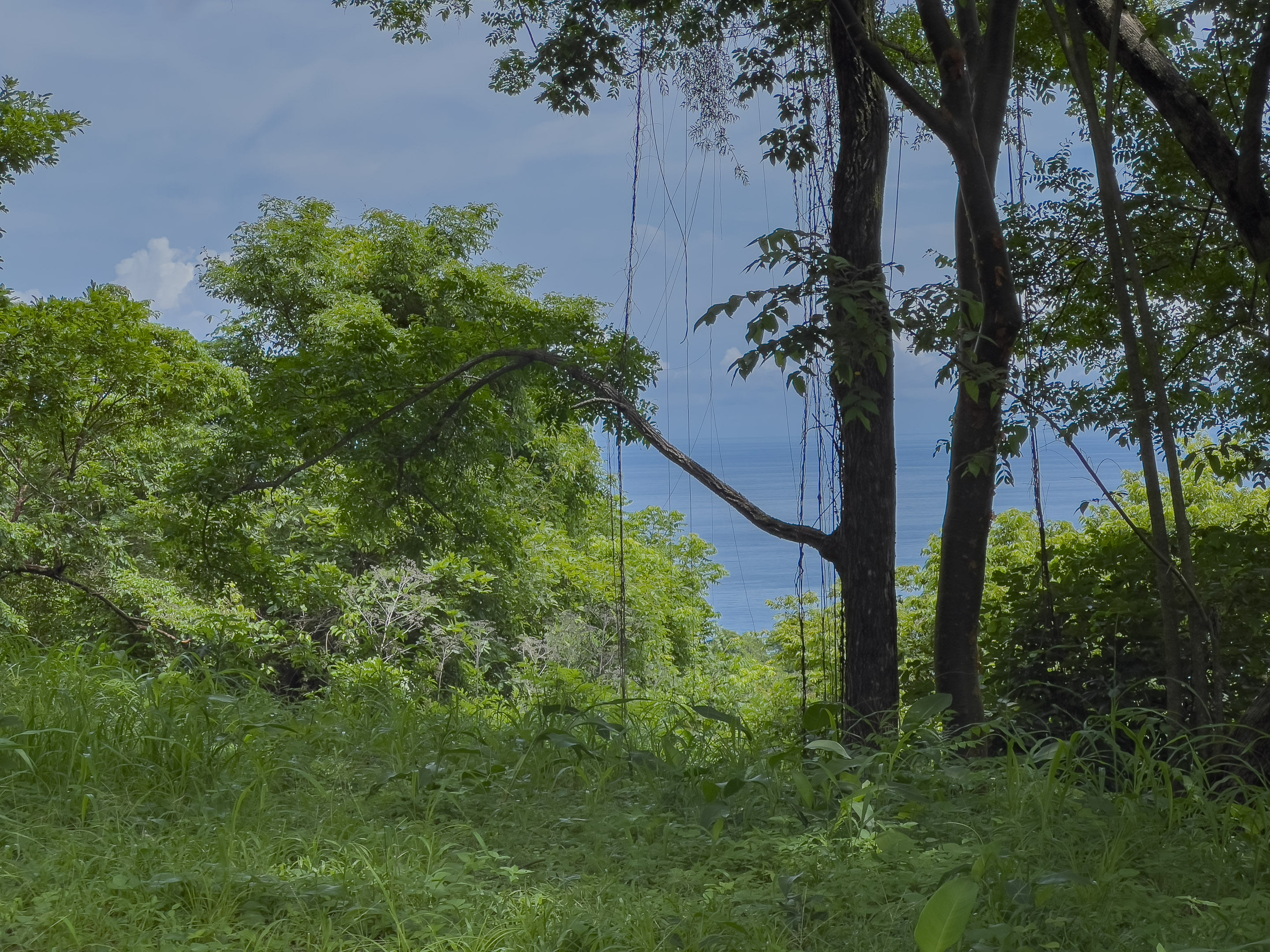 0 bed Land For Sale in Santa Teresa, Puntarenas - thumb 1