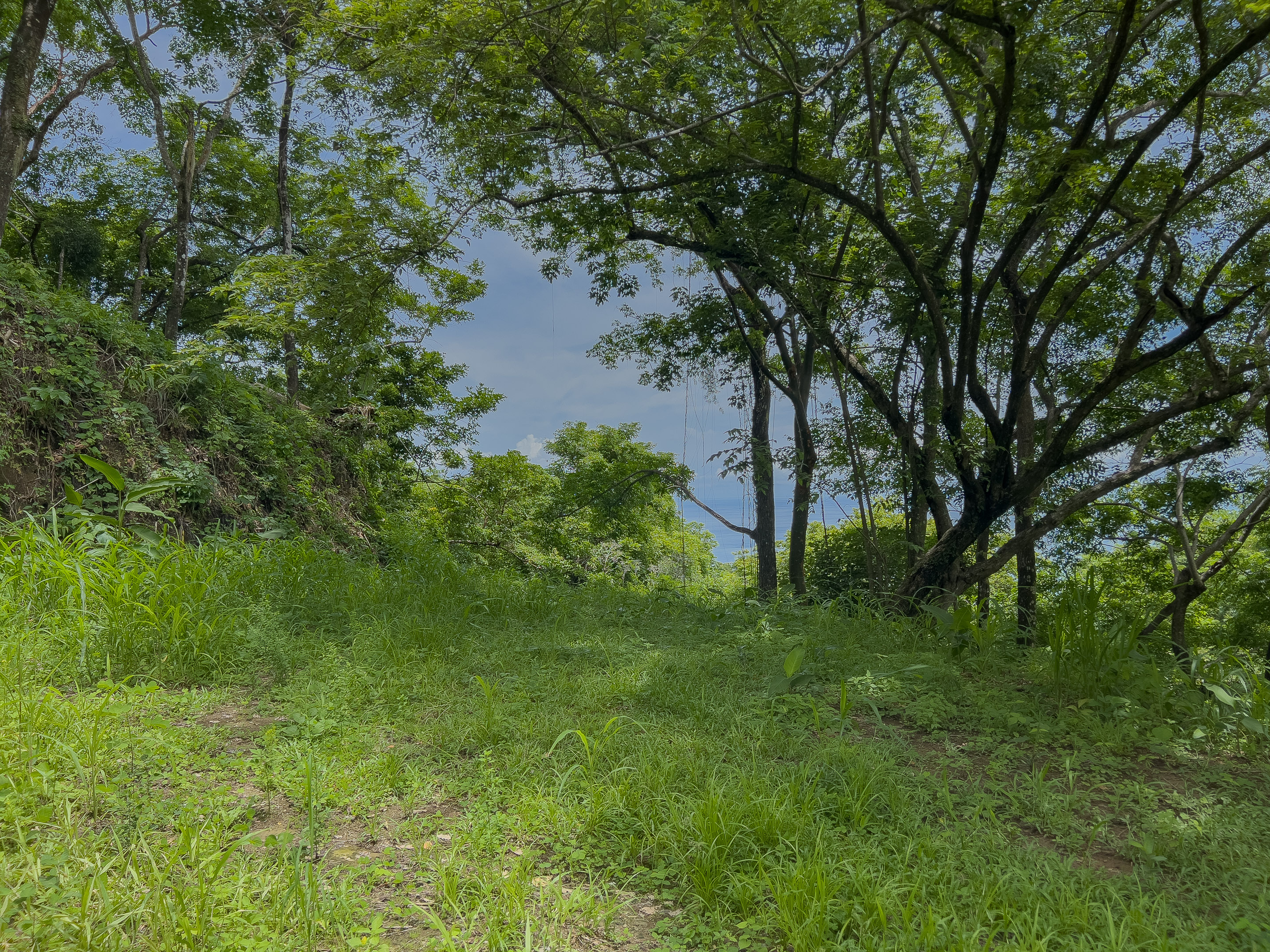 0 bed Land For Sale in Santa Teresa, Puntarenas - thumb 2