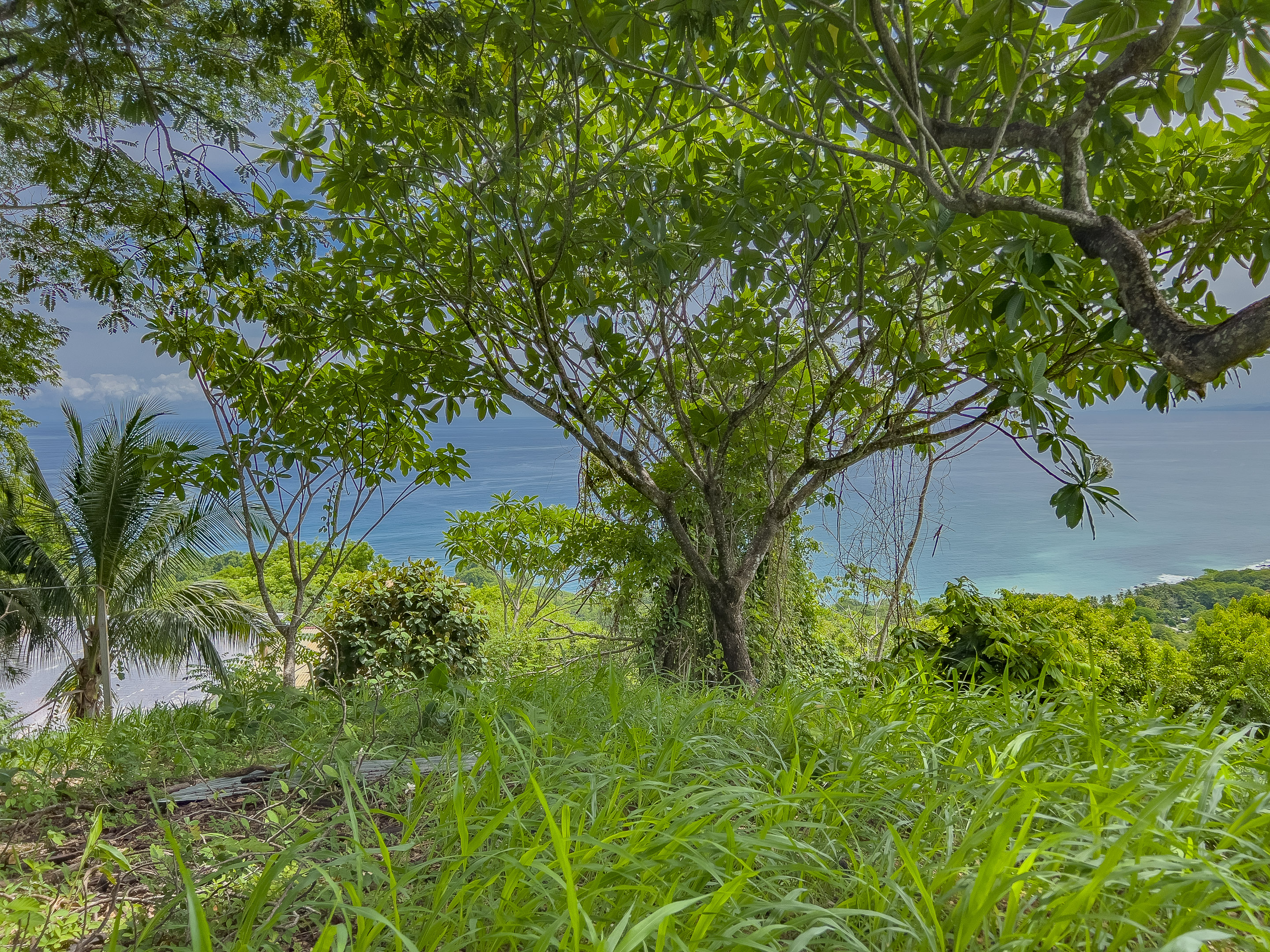 0 bed Land For Sale in Malpais, Puntarenas - thumb 5