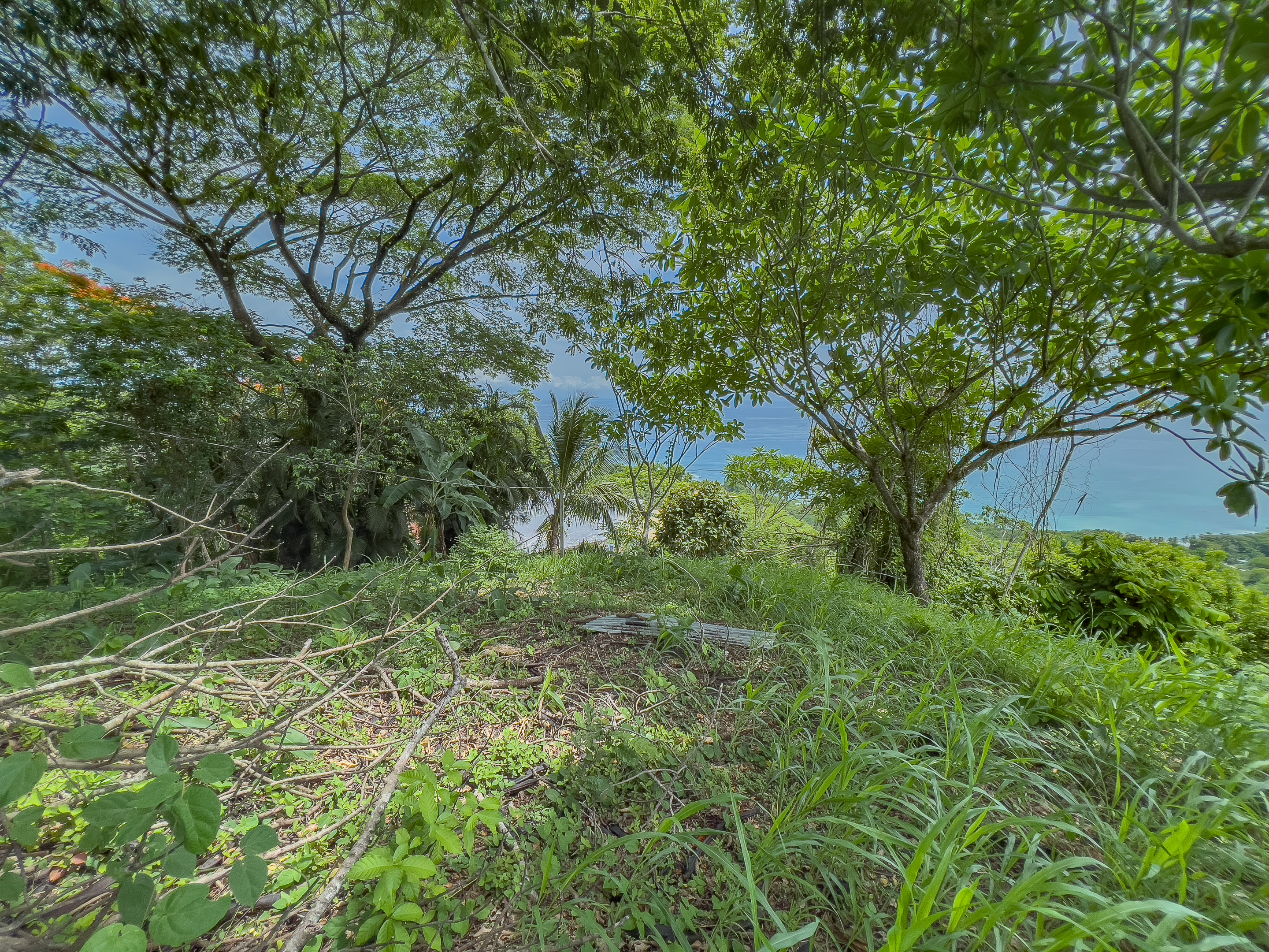 0 bed Land For Sale in Malpais, Puntarenas - thumb 6